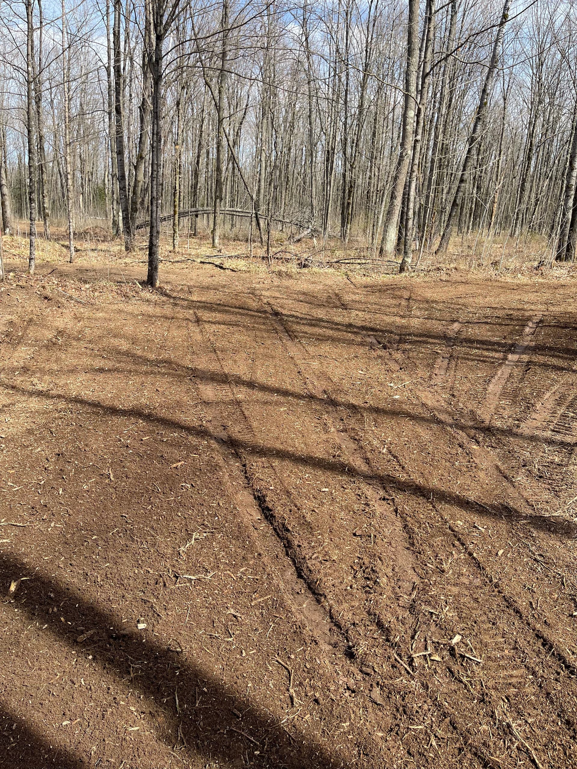 Forestry Mulching and Trail Clearing Opens Up Merrill Property image