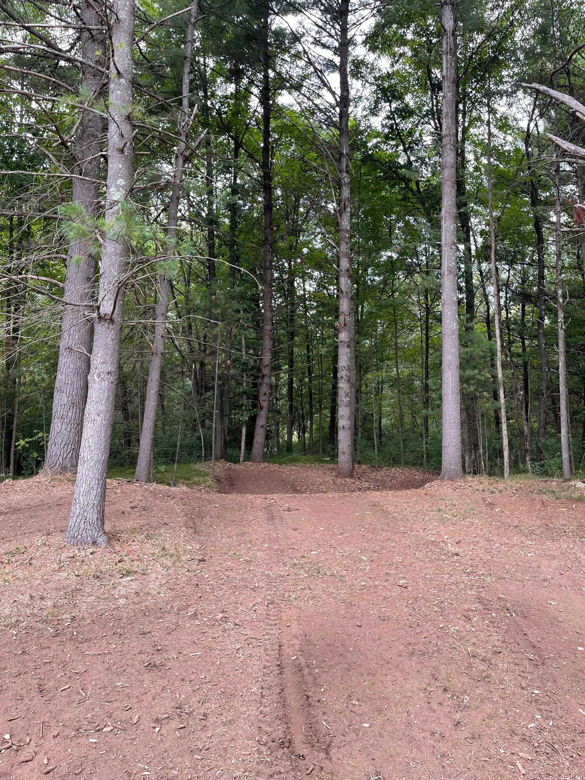 Gallery photos for Backyard Forestry Mulching Clears the Way Along the Eau Claire River in Weston: Image #1