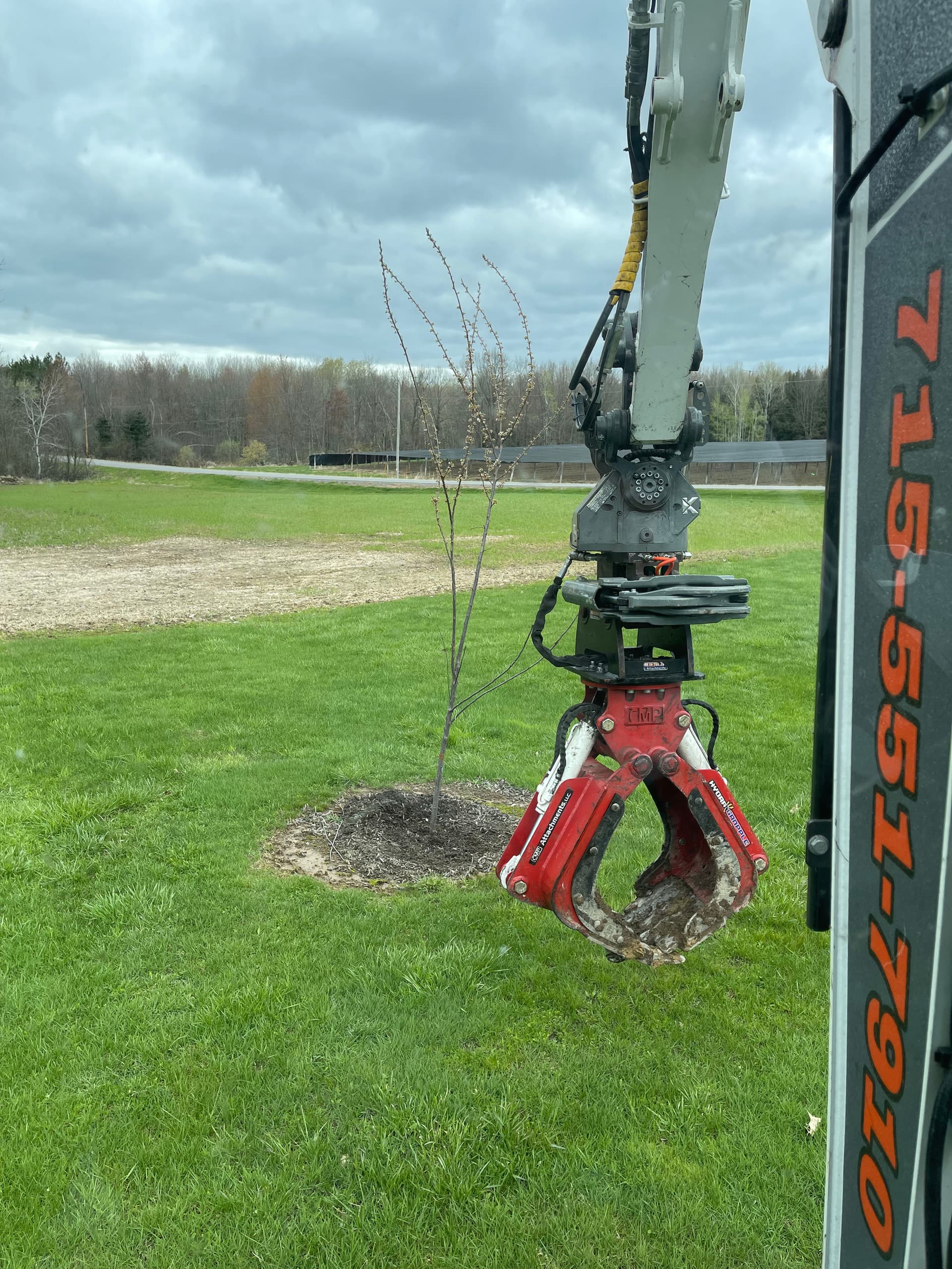 Gallery photos for Apple Tree Transplanting Done Right in Mosinee: Image #1
