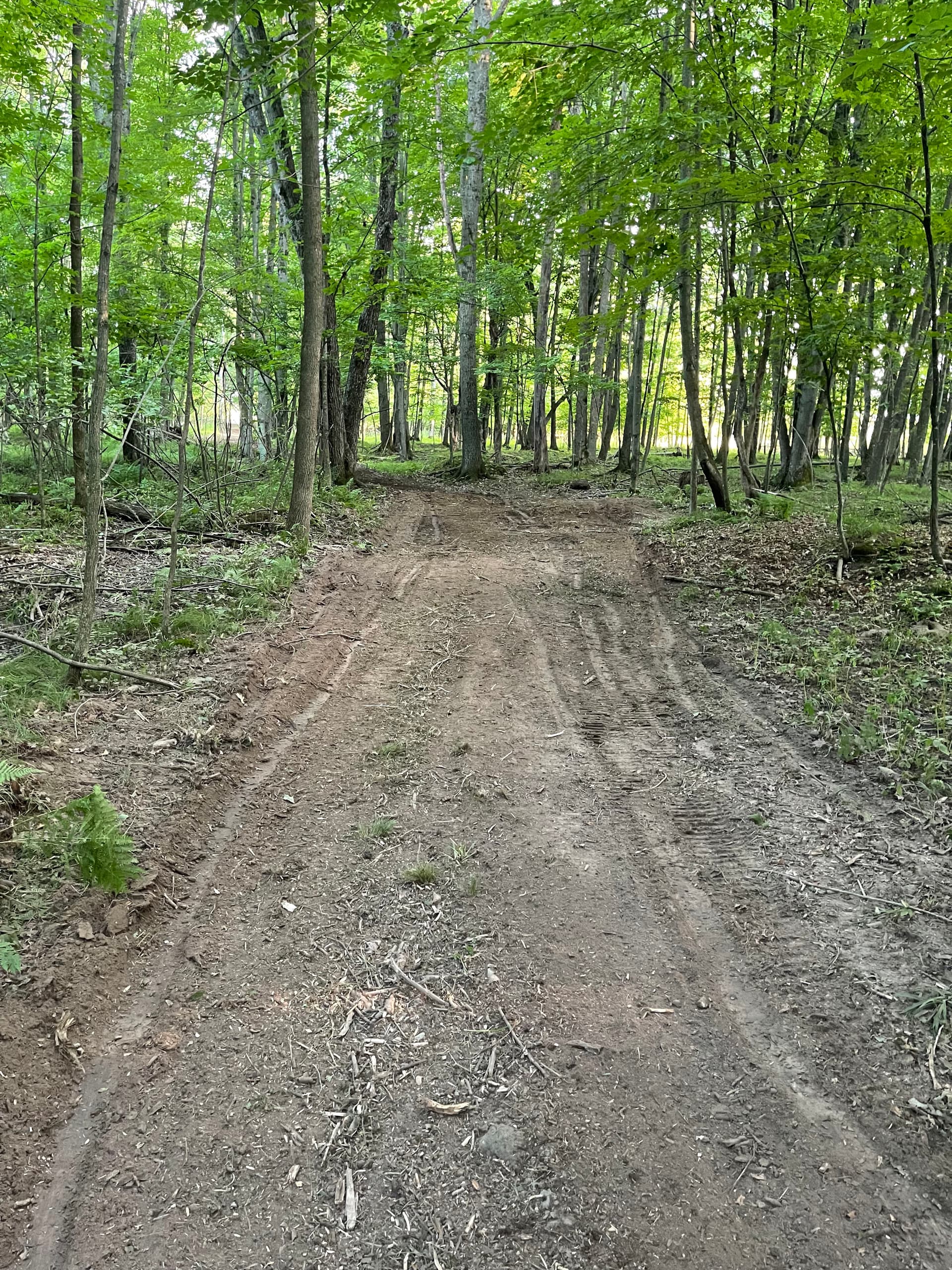 Gallery photos for Farm Trail Cleared and Opened Up in Loyal: Image #5