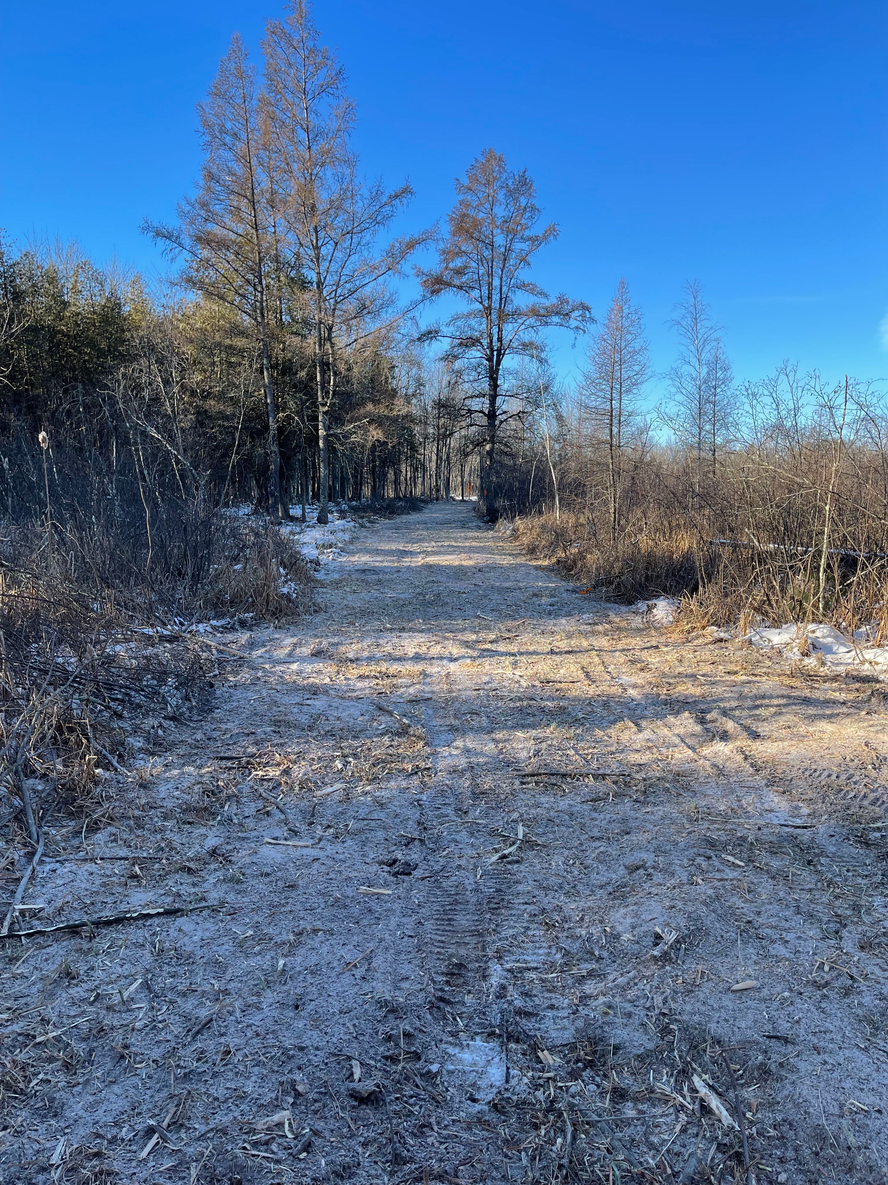 Forestry Mulching in Bevent: Efficient Land Clearing in Winter Conditions