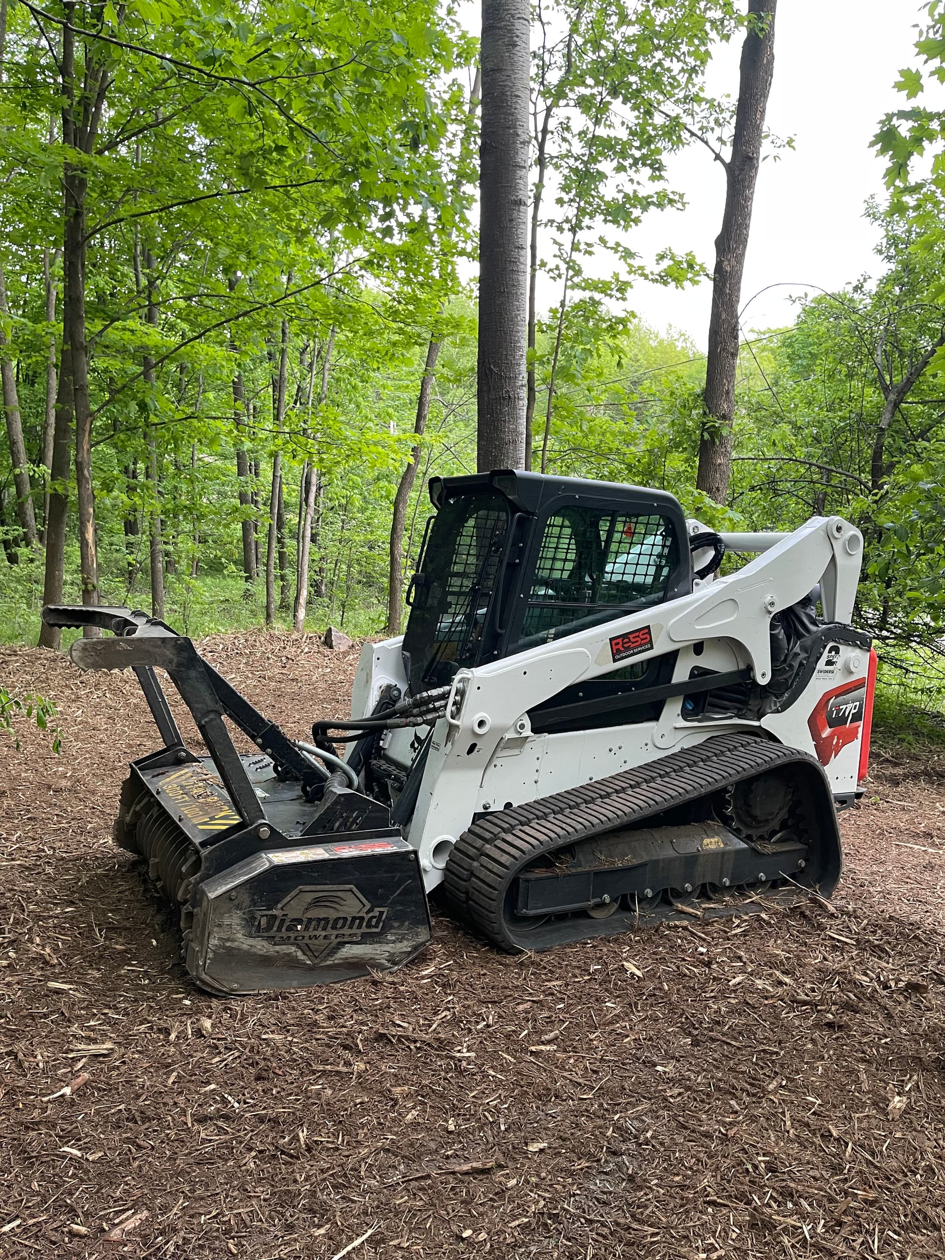 Gallery photos for Forestry Mulching and Log Cleanup in Rib Mountain: Image #6