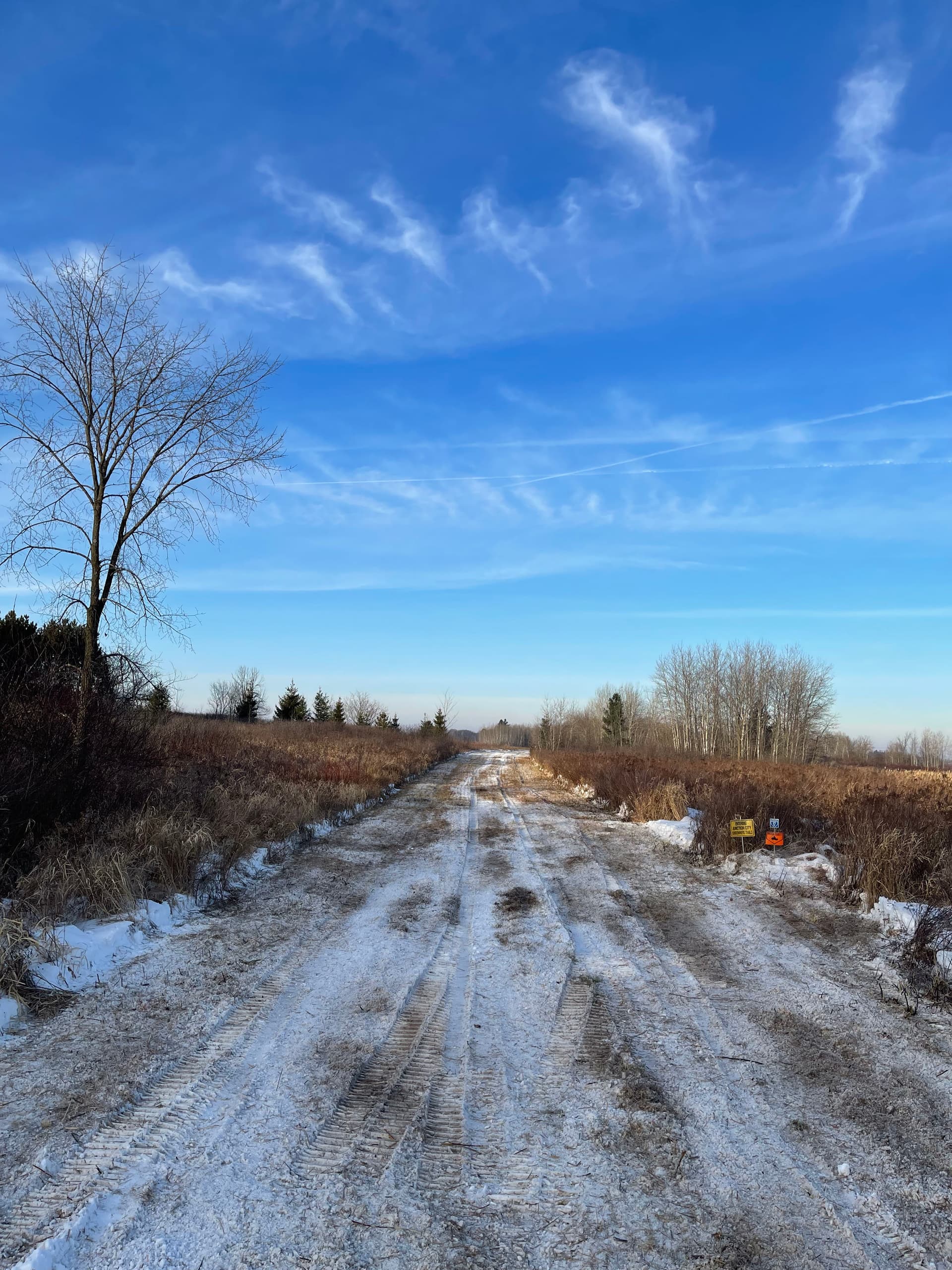 Gallery photos for Trail Clearing at Carson Wetland Site: Image #4