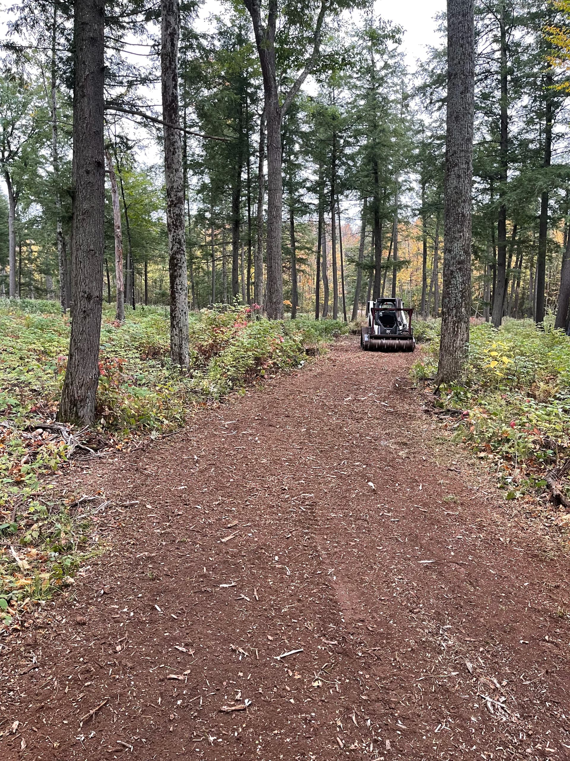Forestry Mulching Opens Up Fresh Trails in Weston/Ringle image