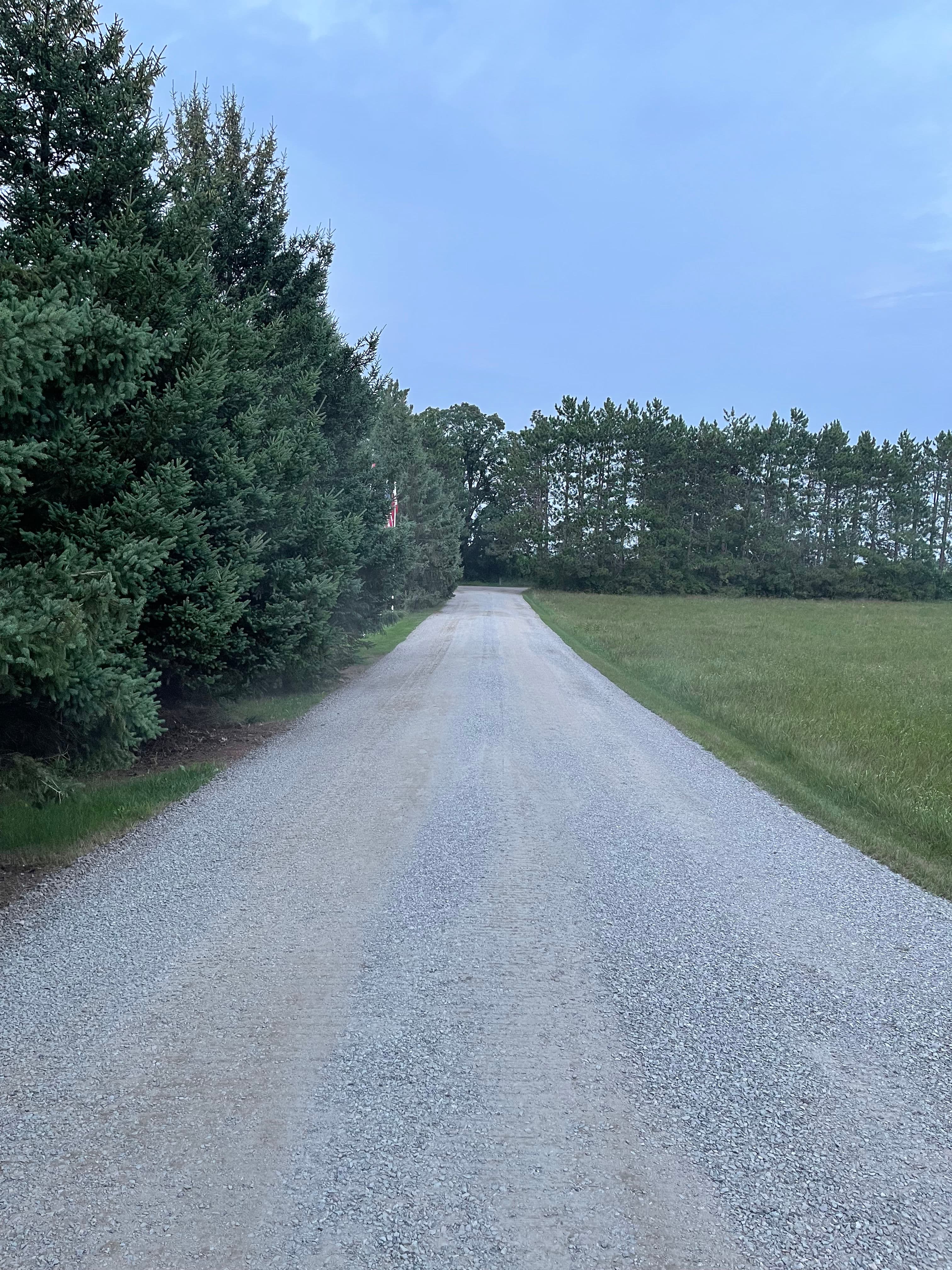Project Gravel Driveway Refresh Done Right in Plover image