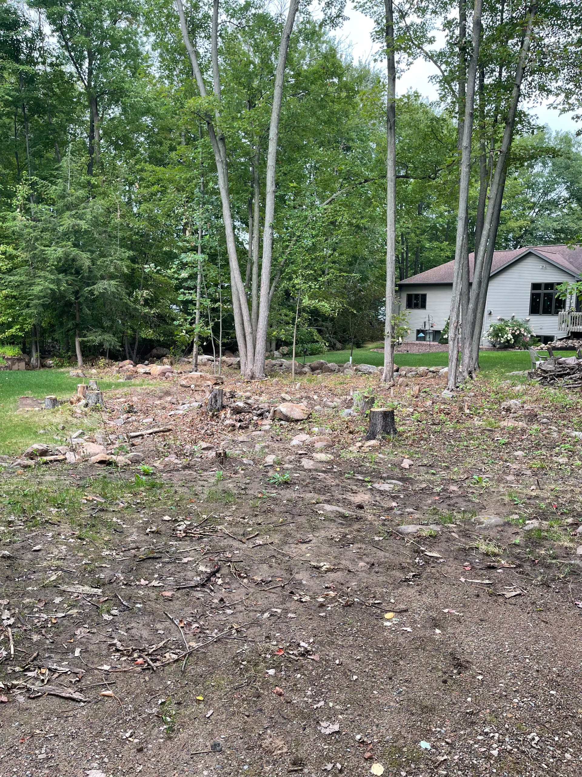 Gallery photos for Backyard Land Clearing and Cleanup in Rib Mountain: Image #4