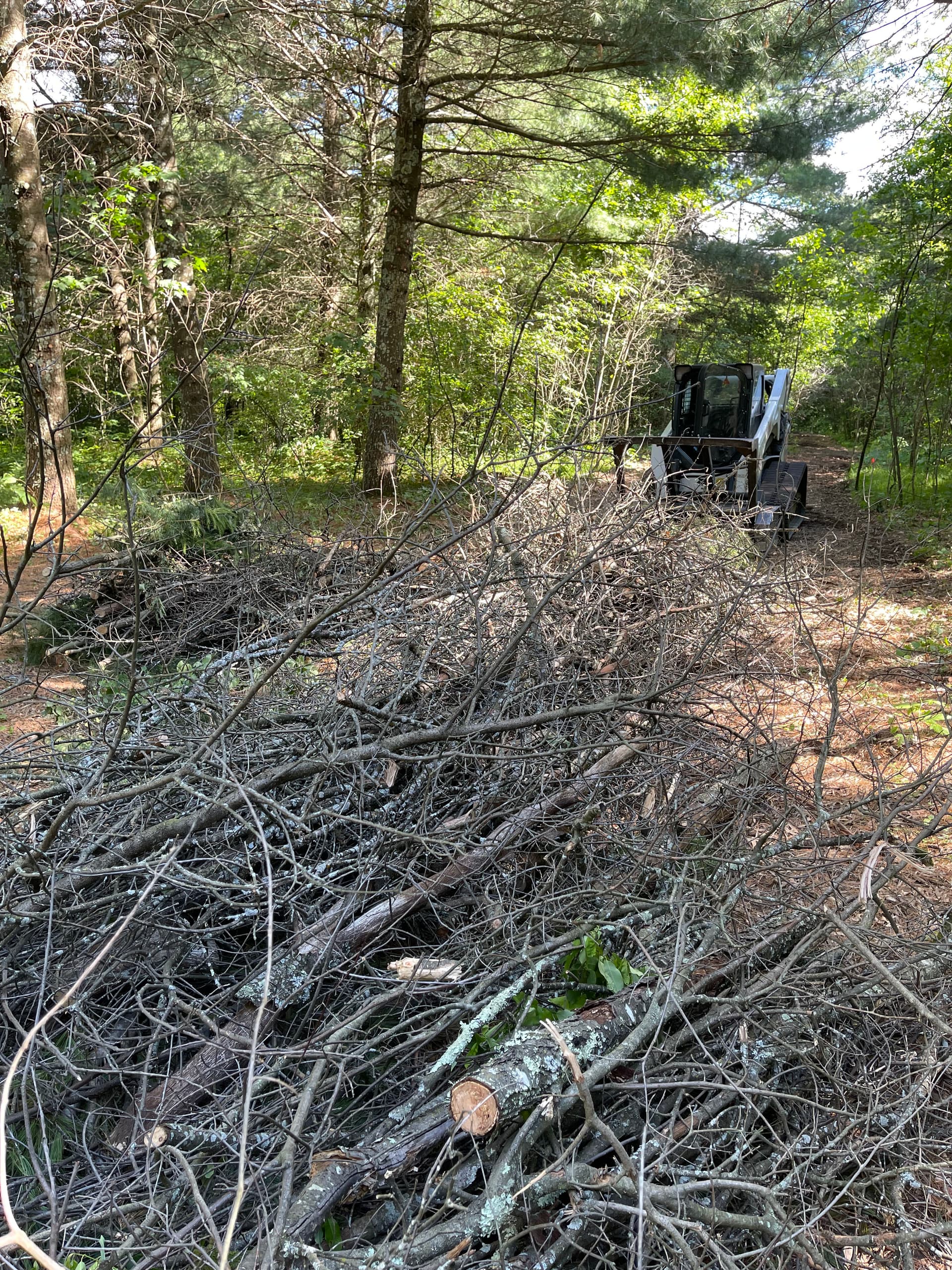 Gallery photos for Forestry Mulching Opens Up Fresh Trails Near Lake DuBay: Image #4