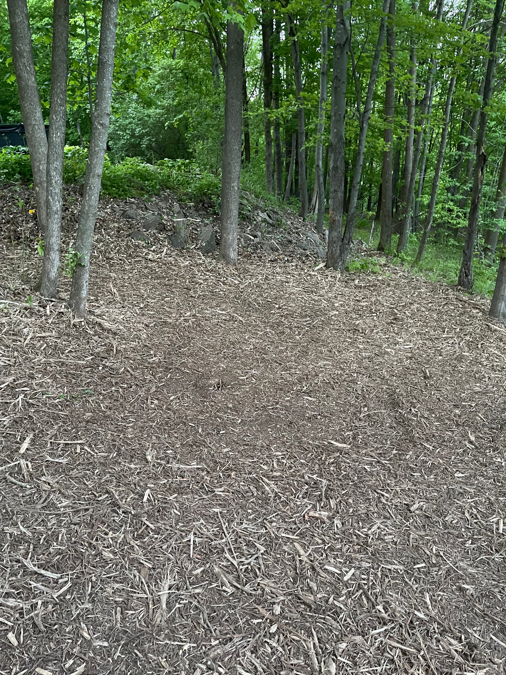 Gallery photos for Forestry Mulching and Log Cleanup in Rib Mountain: Image #2