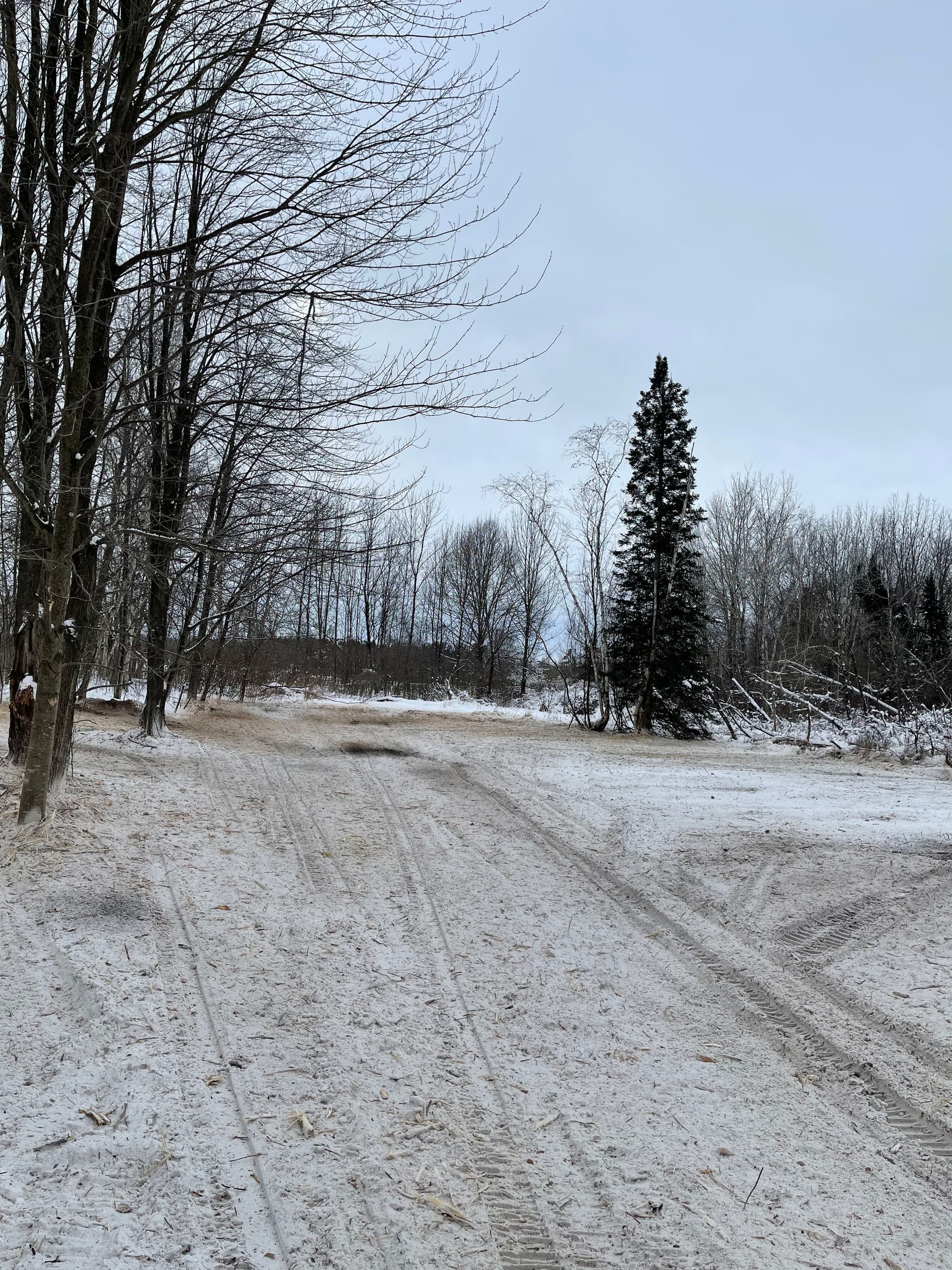 Gallery photos for Forestry Mulching in Mosinee Creating Winter Landscapes: Image #1