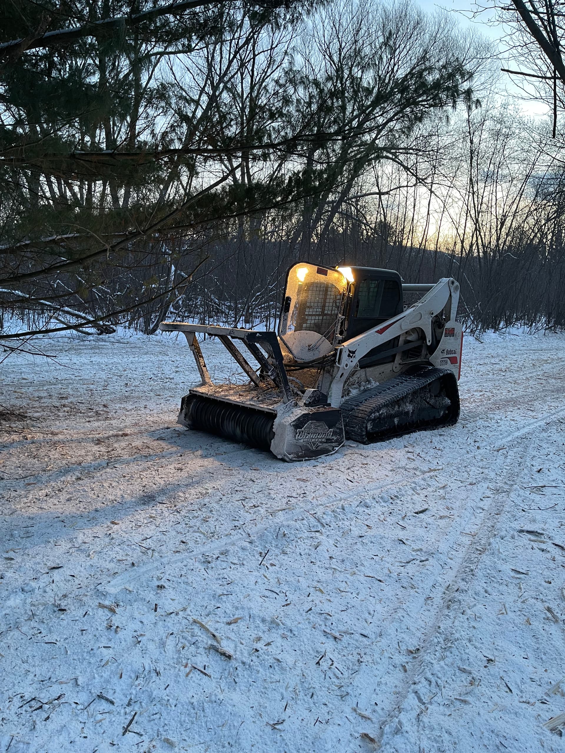 Trail Clearing for Enjoyment