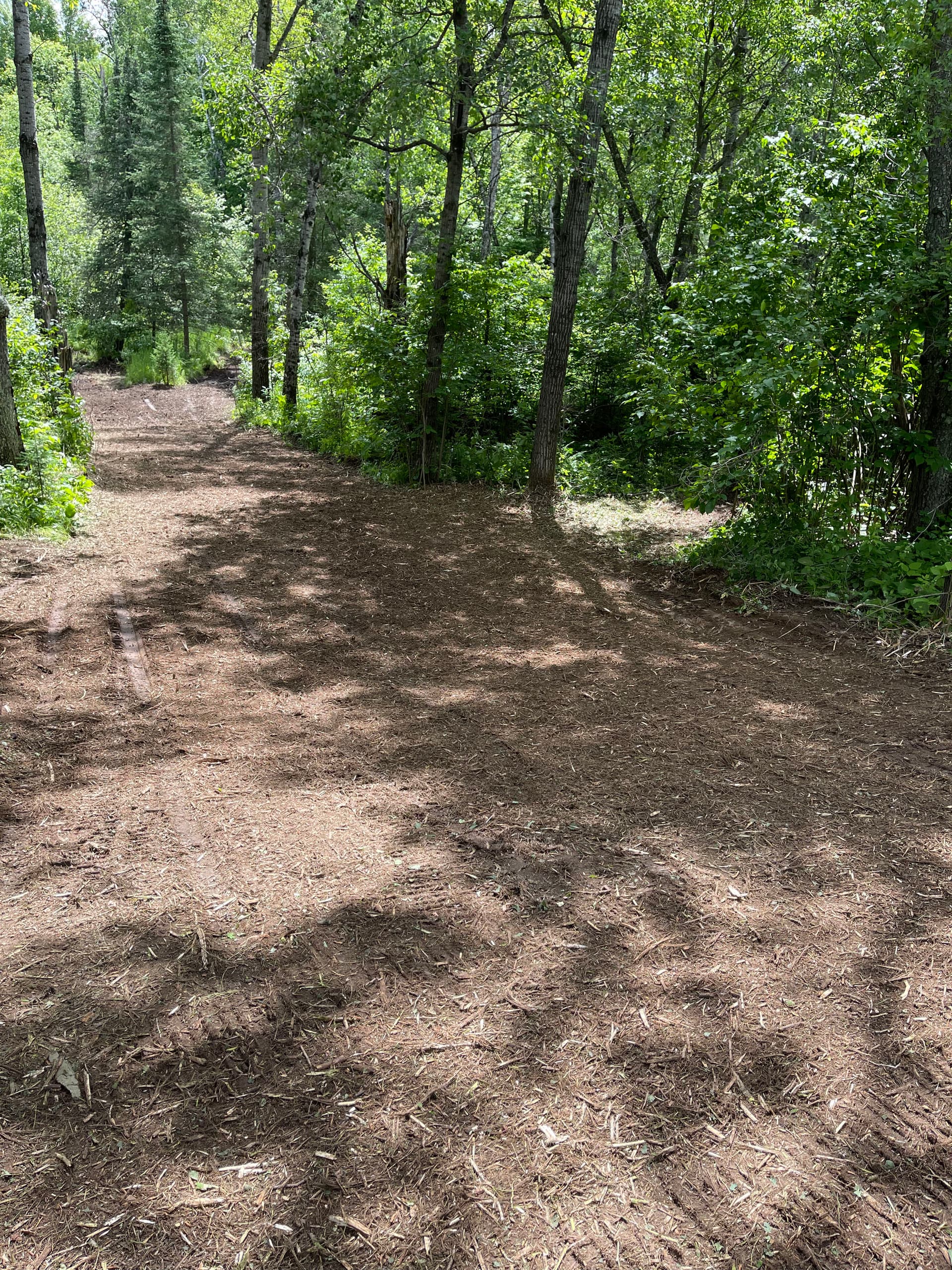 Gallery photos for Forestry Mulching That Turns Overgrown Land Into Usable Trails: Image #7