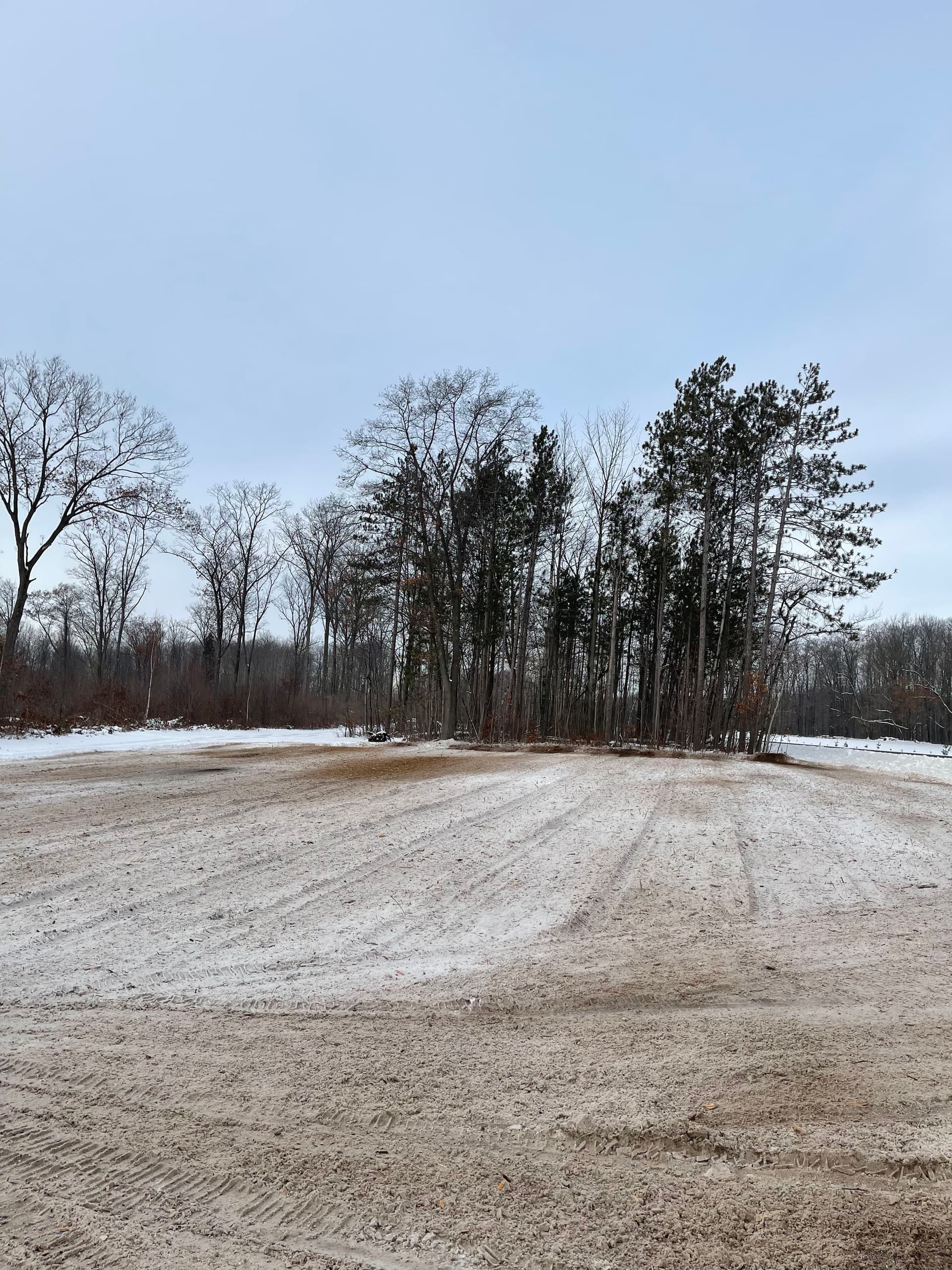 Gallery photos for Forestry Mulching and Land Clearing in Snowy Mosinee: Image #3