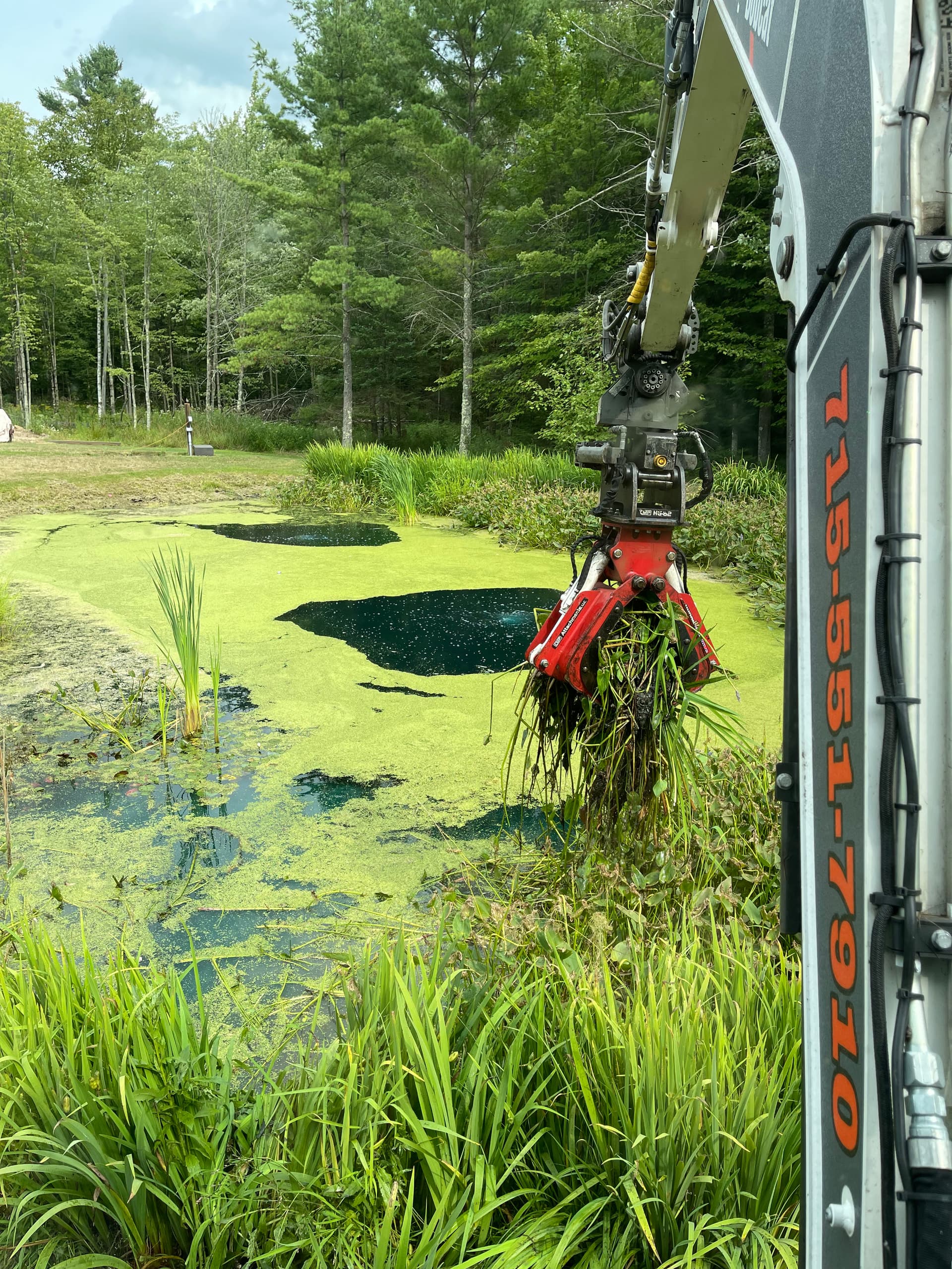 Gallery photos for Pond Clean-Out and Vegetation Removal in Wausau: Image #3