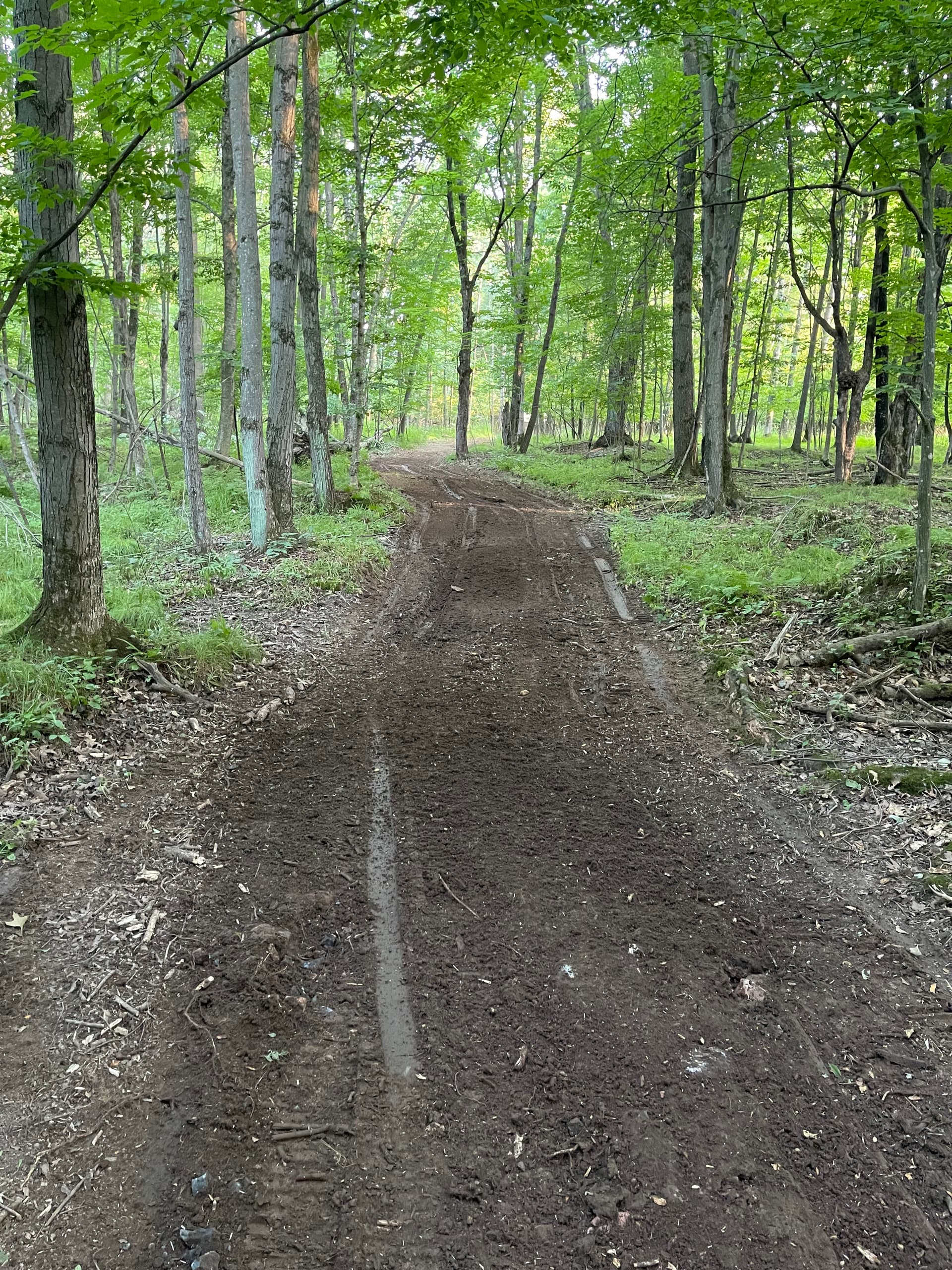 Gallery photos for Farm Trail Cleared and Opened Up in Loyal: Image #6