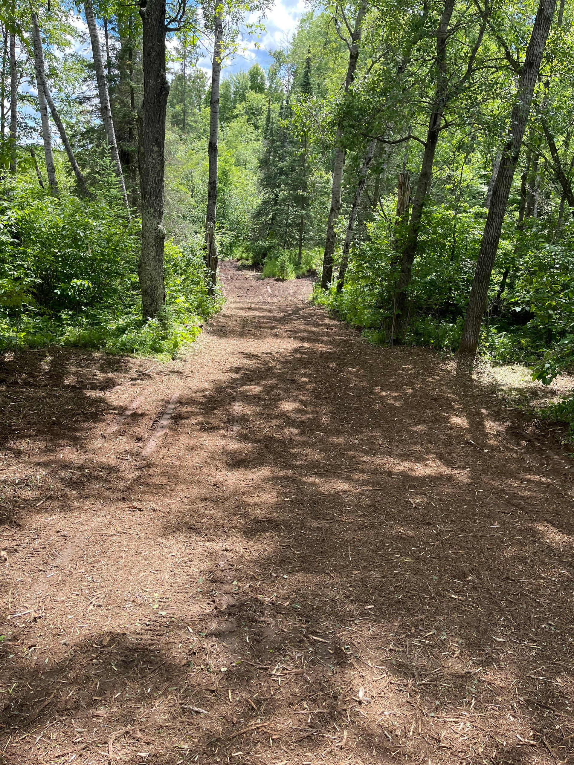 Gallery photos for Forestry Mulching That Turns Overgrown Land Into Usable Trails: Image #5