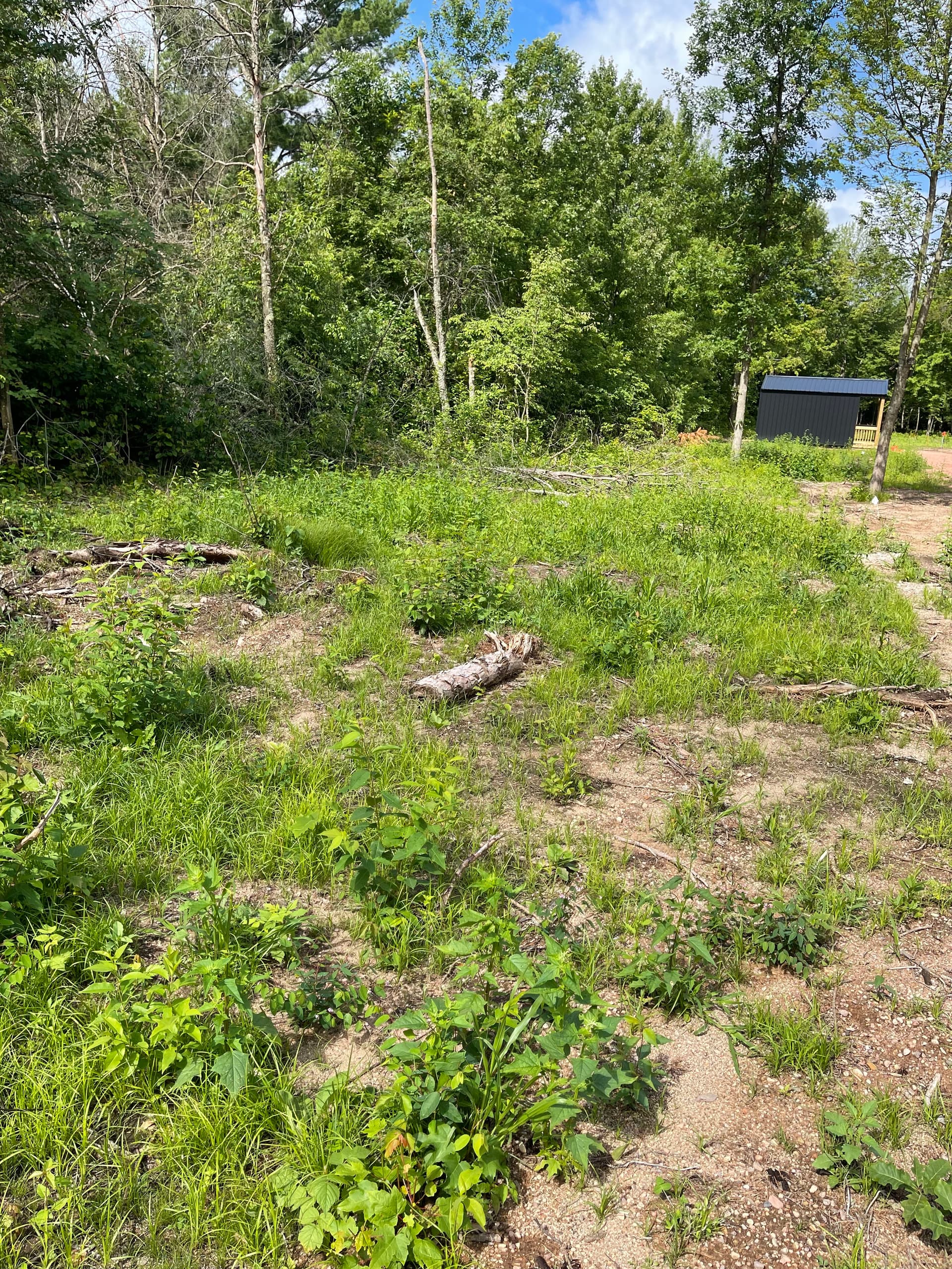 Gallery photos for Forestry Mulching Clears Barndominium Site Near Lake DuBay in Mosinee: Image #1