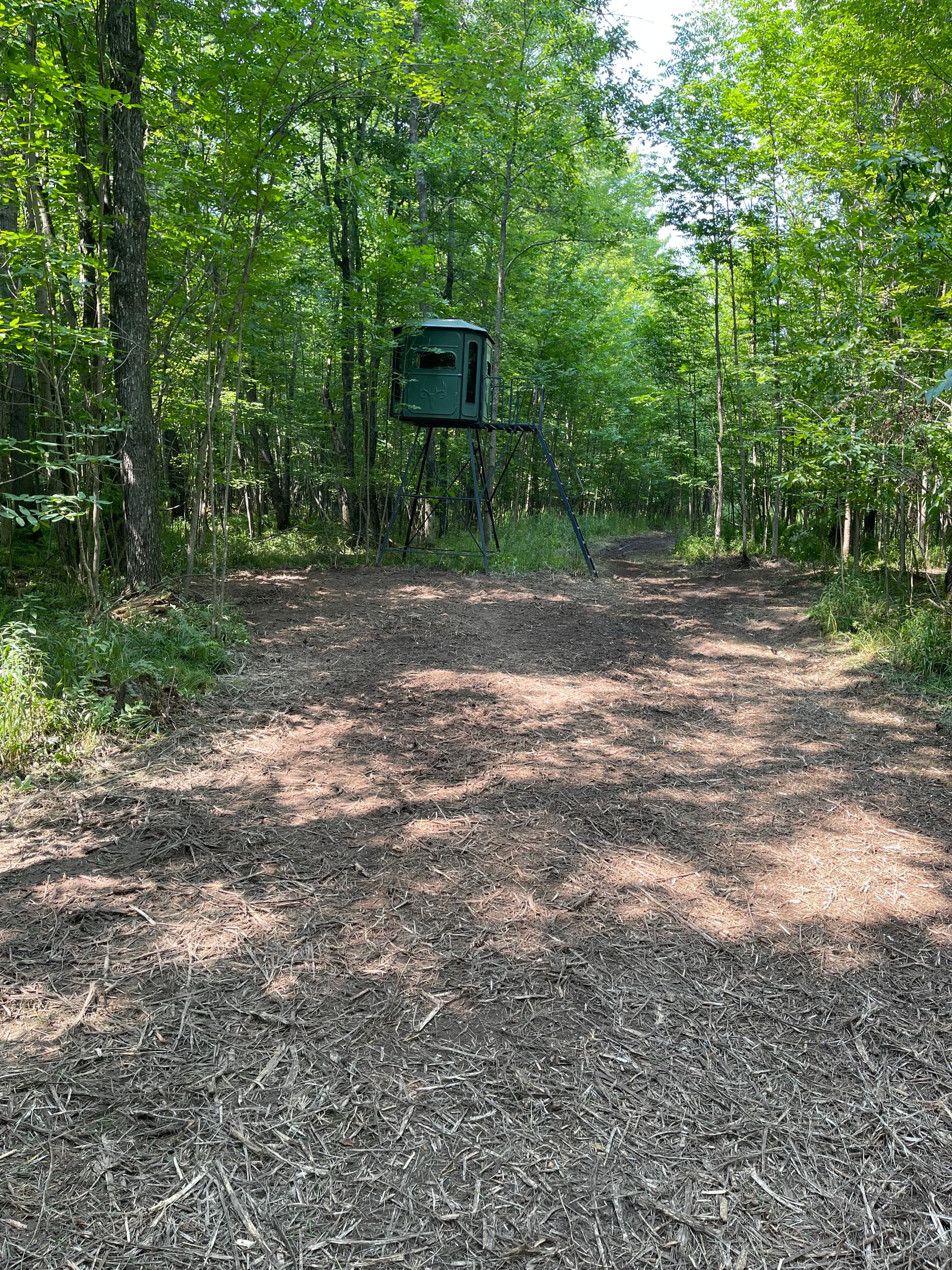 Gallery photos for Forestry Mulching for Hunting Season Prep Near Loyal: Image #3