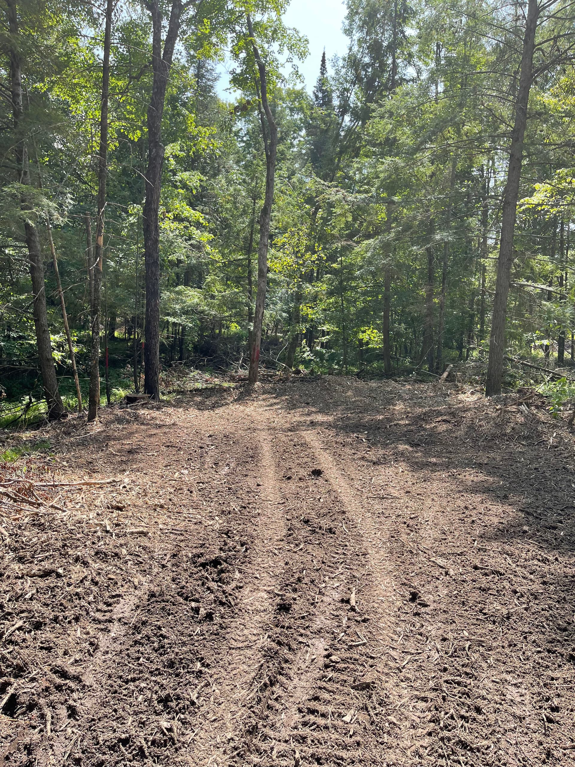 Gallery photos for Post-Logging Trail Cleanup with Forestry Mulching in Athens: Image #3