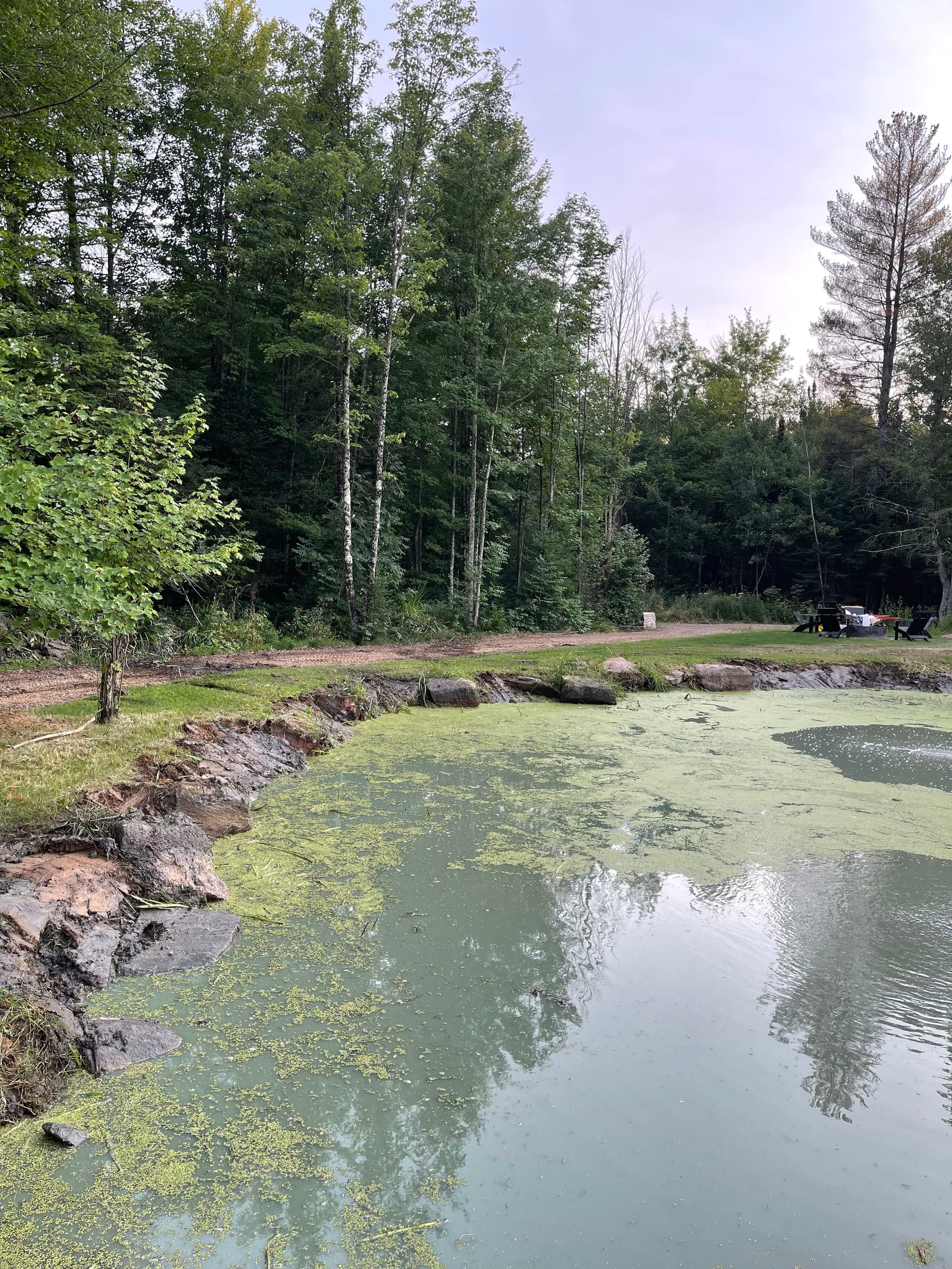 Gallery photos for Pond Clean-Out and Vegetation Removal in Wausau: Image #5