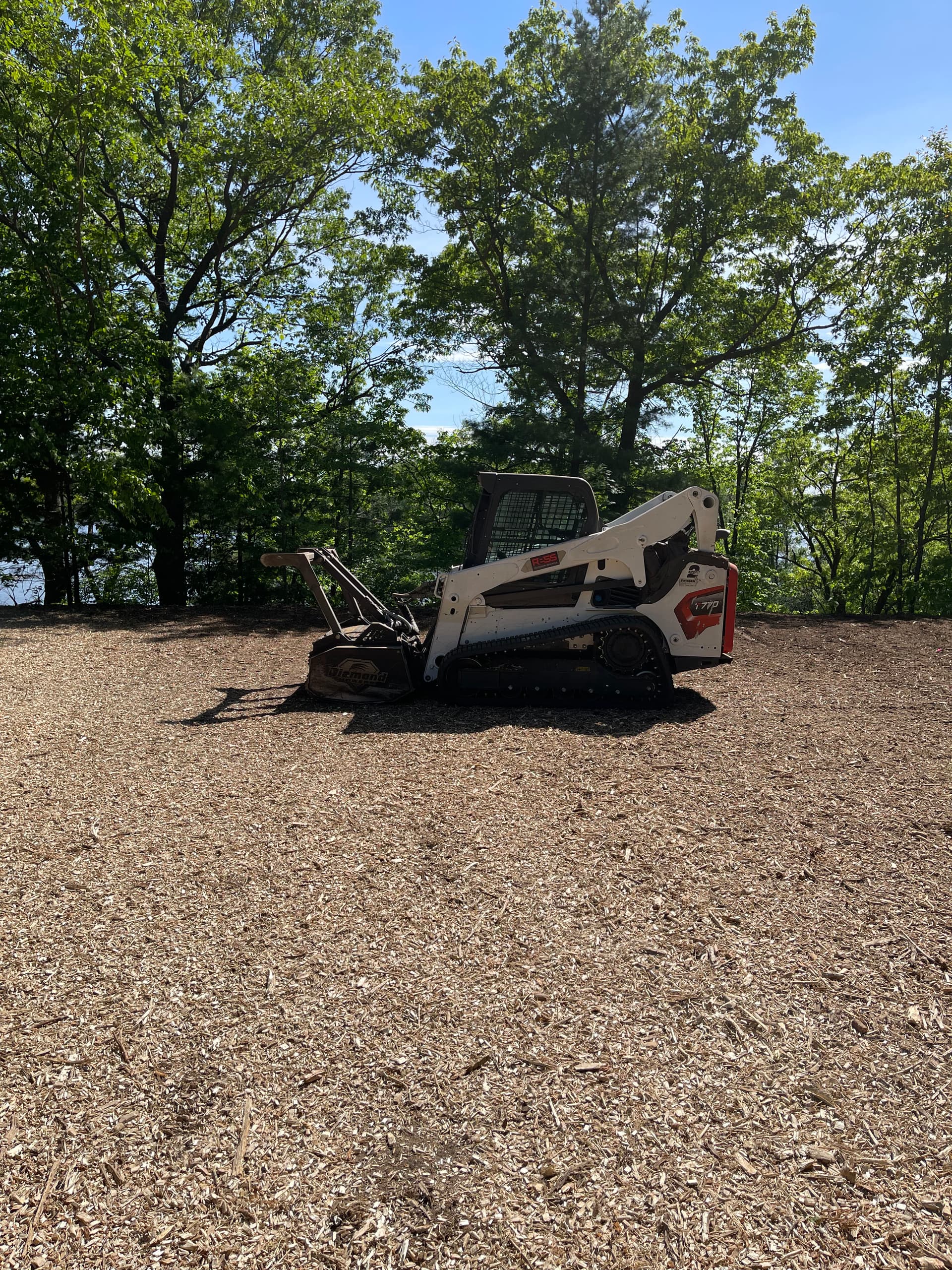 Gallery photos for Wooded Lot Cleared for a New Build in Mosinee: Image #2