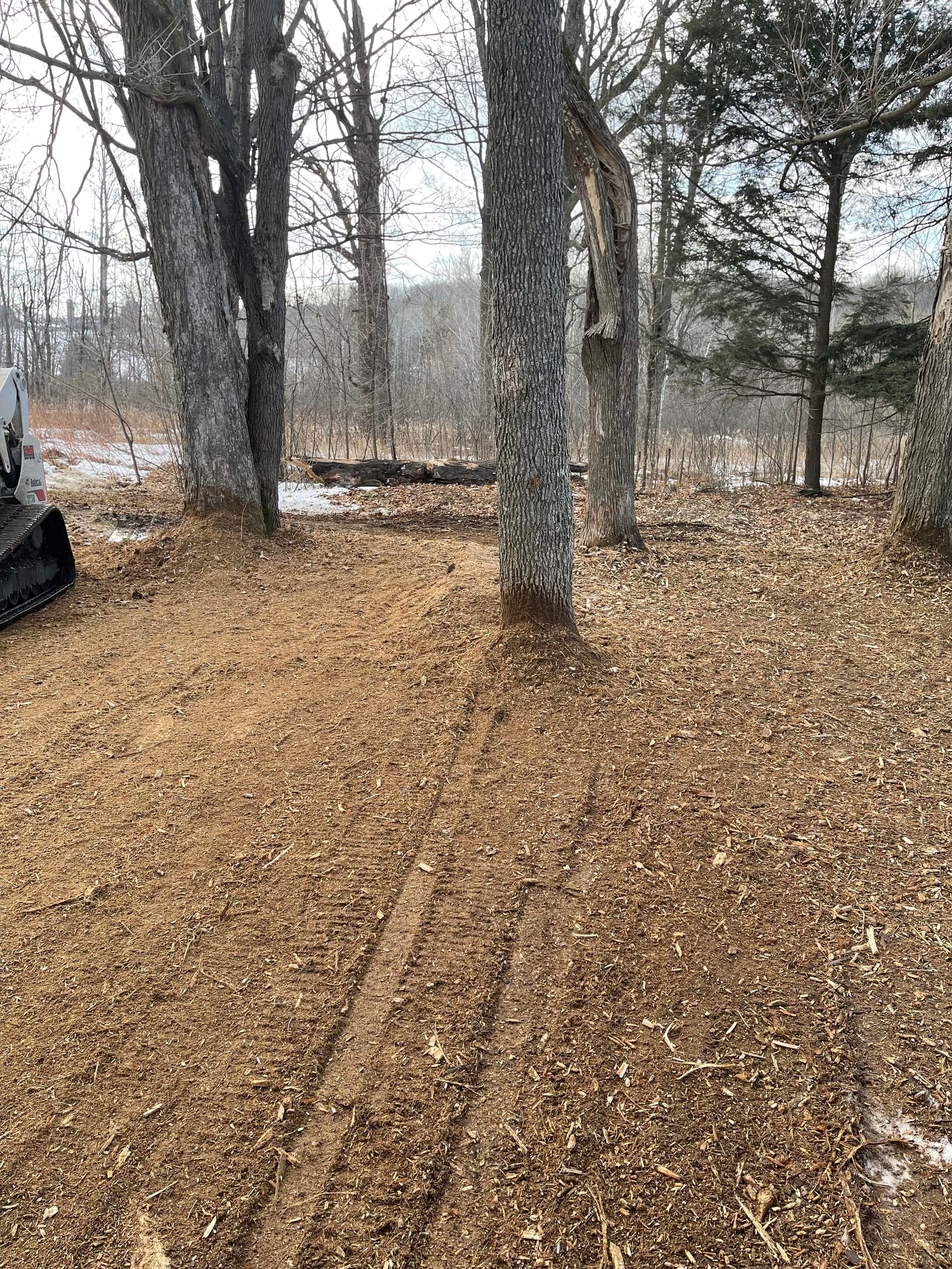 Gallery photos for Creating Open Spaces in Wausau: Image #4