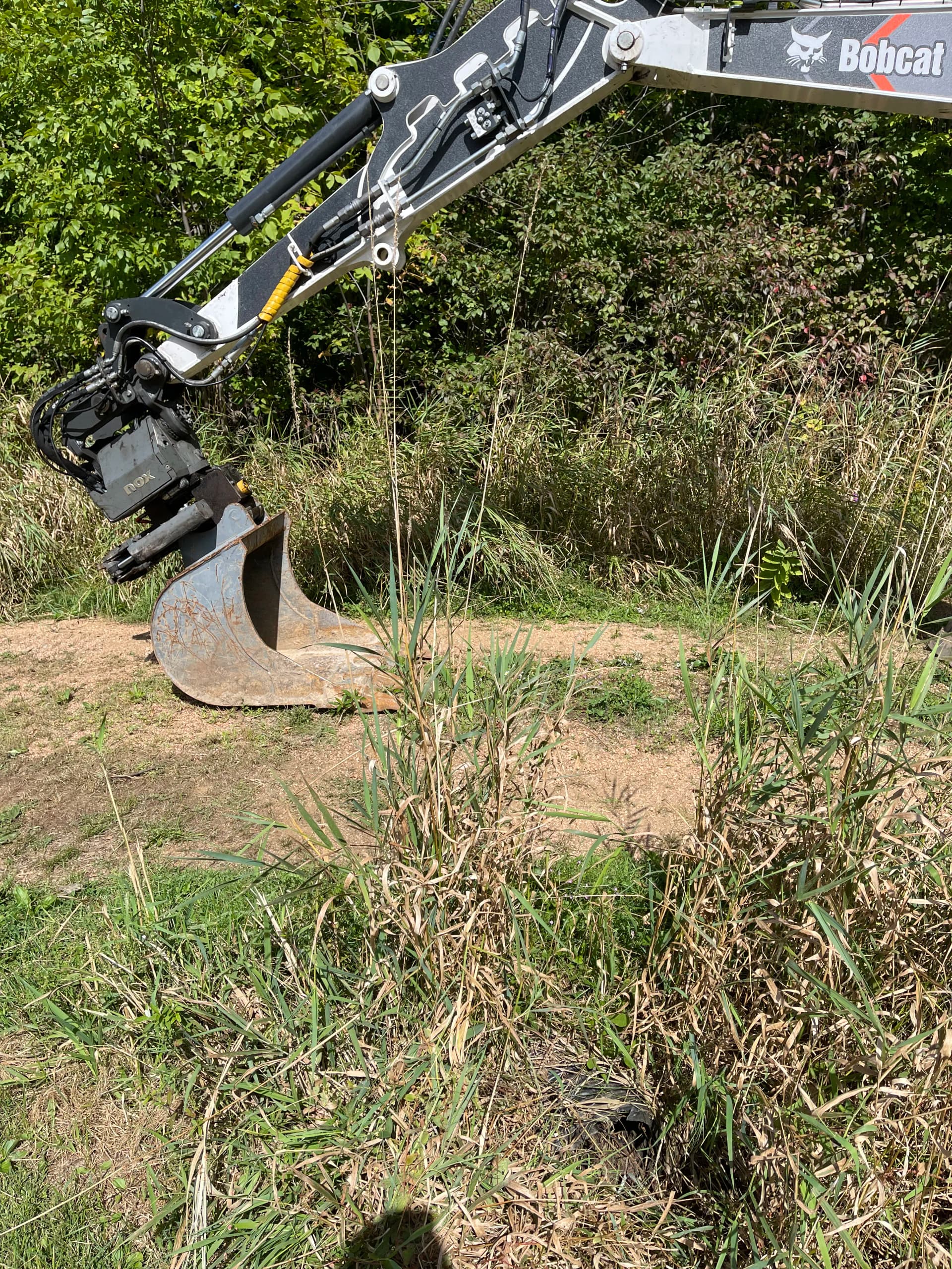 Gallery photos for Culvert Replacement and Gravel Road Work Near Lake DuBay in Junction City: Image #5
