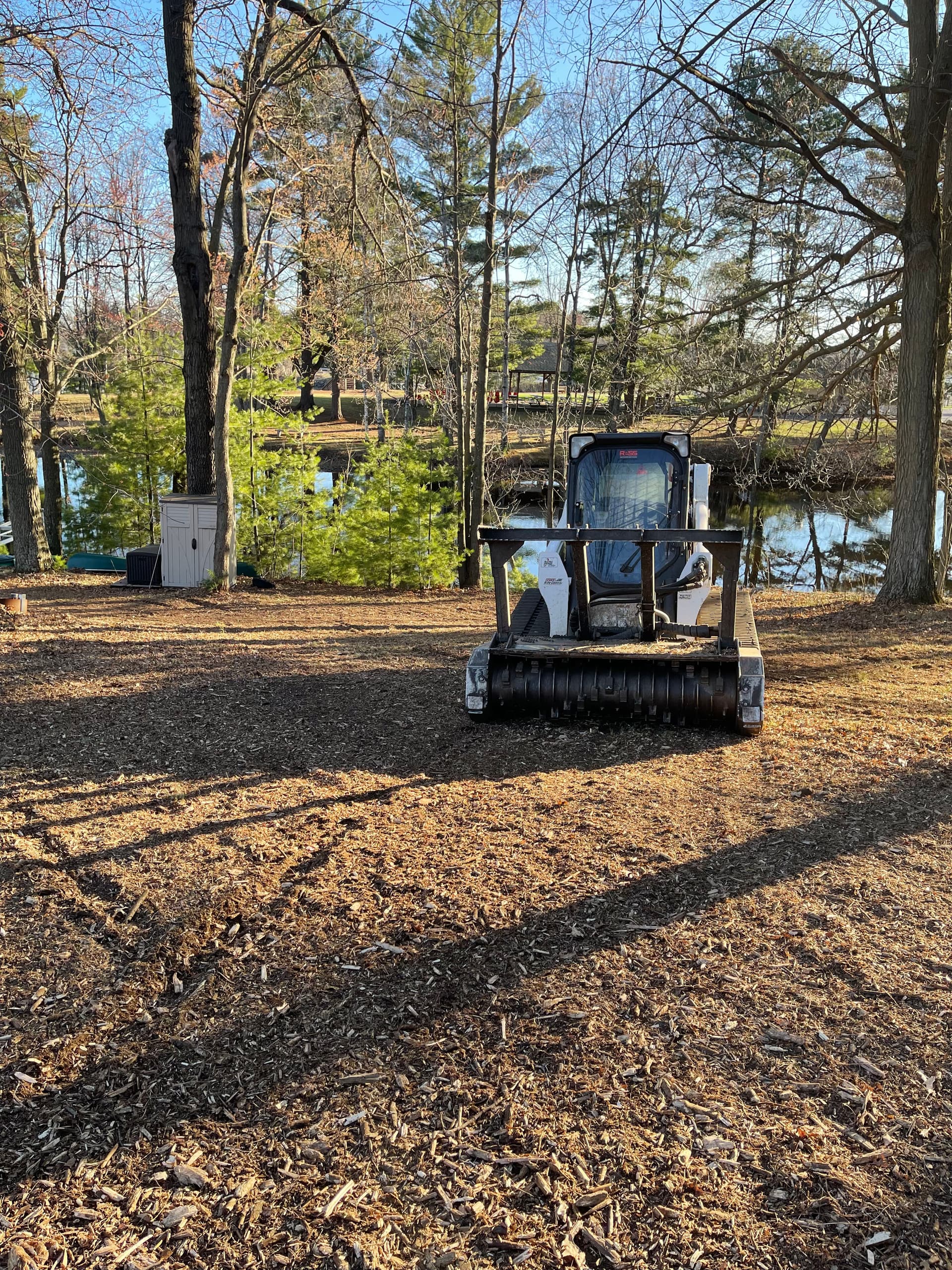 Gallery photos for Forestry Mulching Brush Clearing on Lake DuBay: Image #3