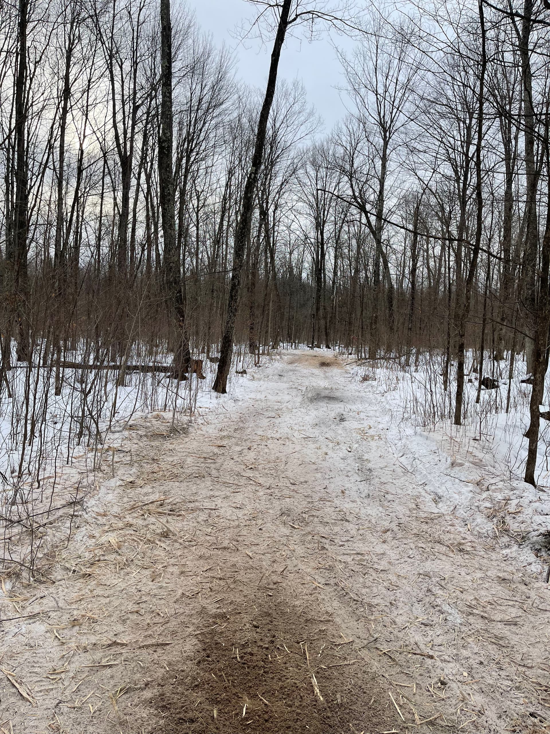 Gallery photos for Forest Trail Creation in Mosinee: Image #4