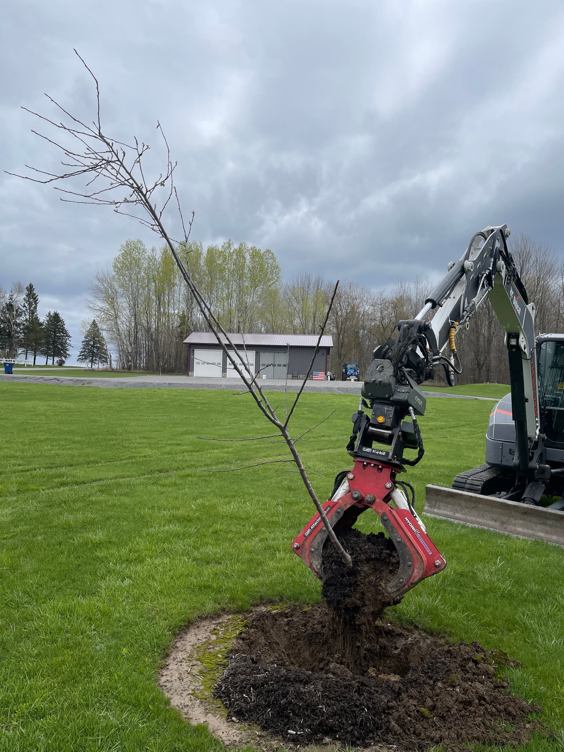Gallery photos for Apple Tree Transplanting Done Right in Mosinee: Image #2