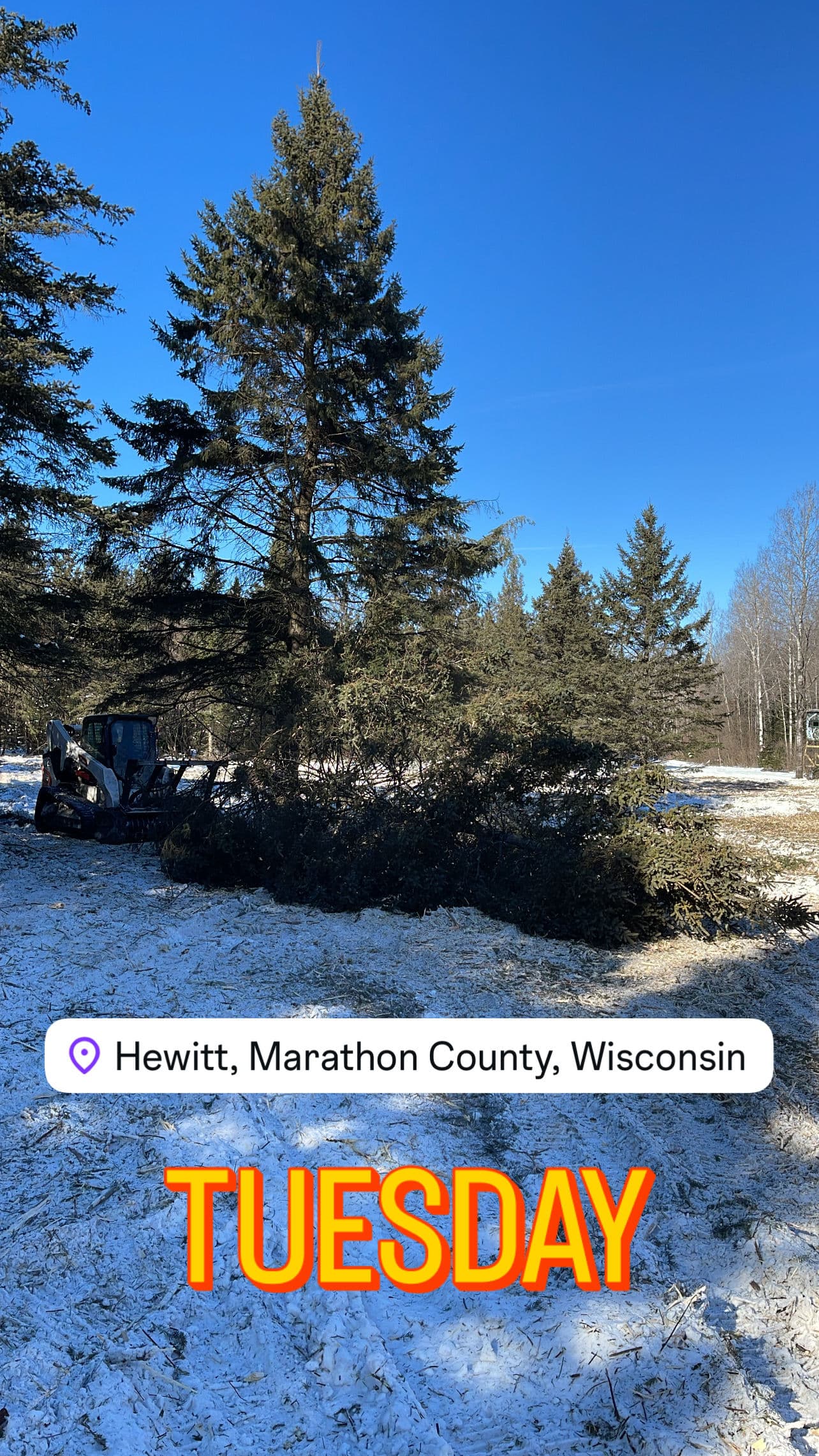 Gallery photos for Land Clearing Project in Snowy Hewitt Wisconsin: Image #3