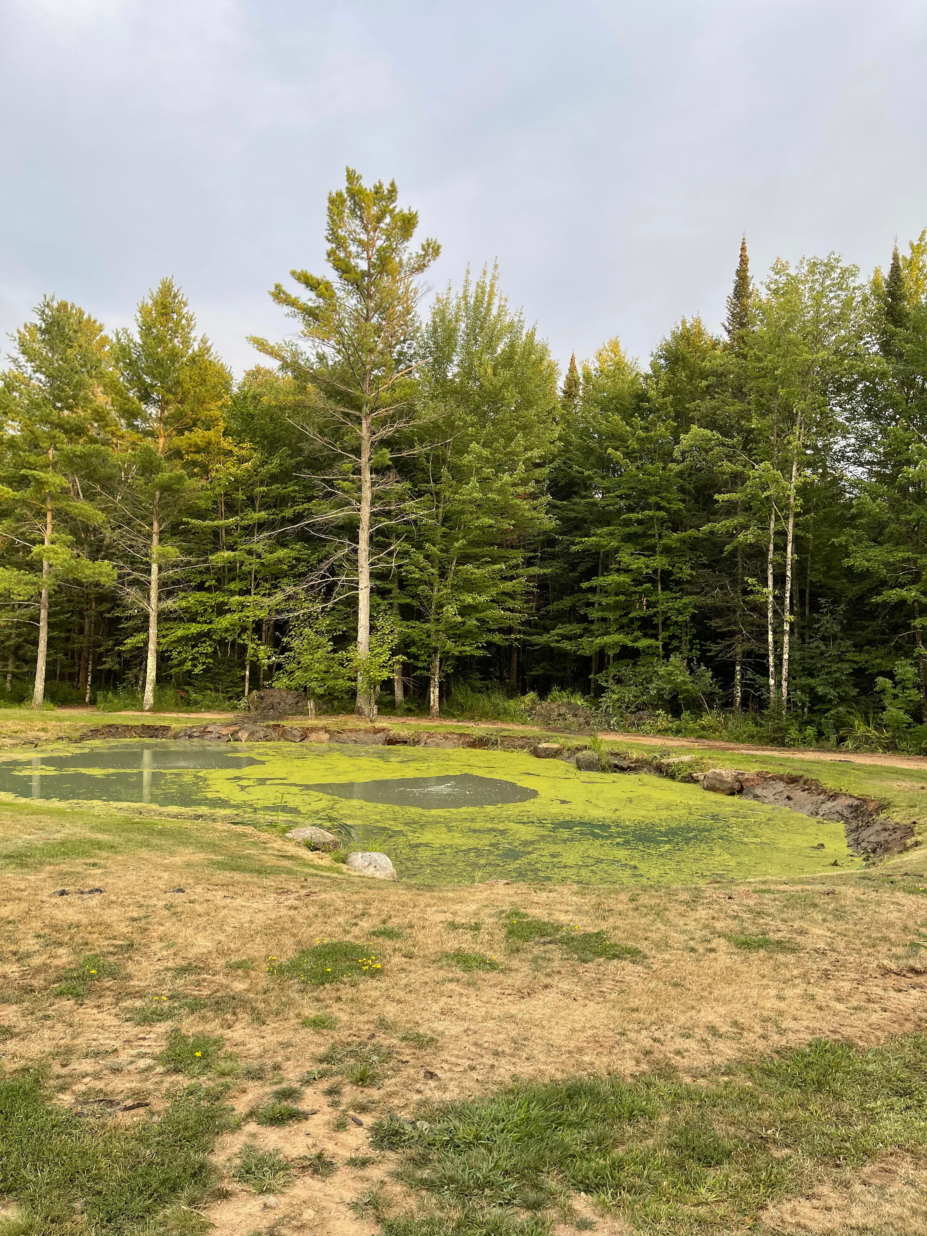 Project Pond Clean-Out and Vegetation Removal in Wausau image