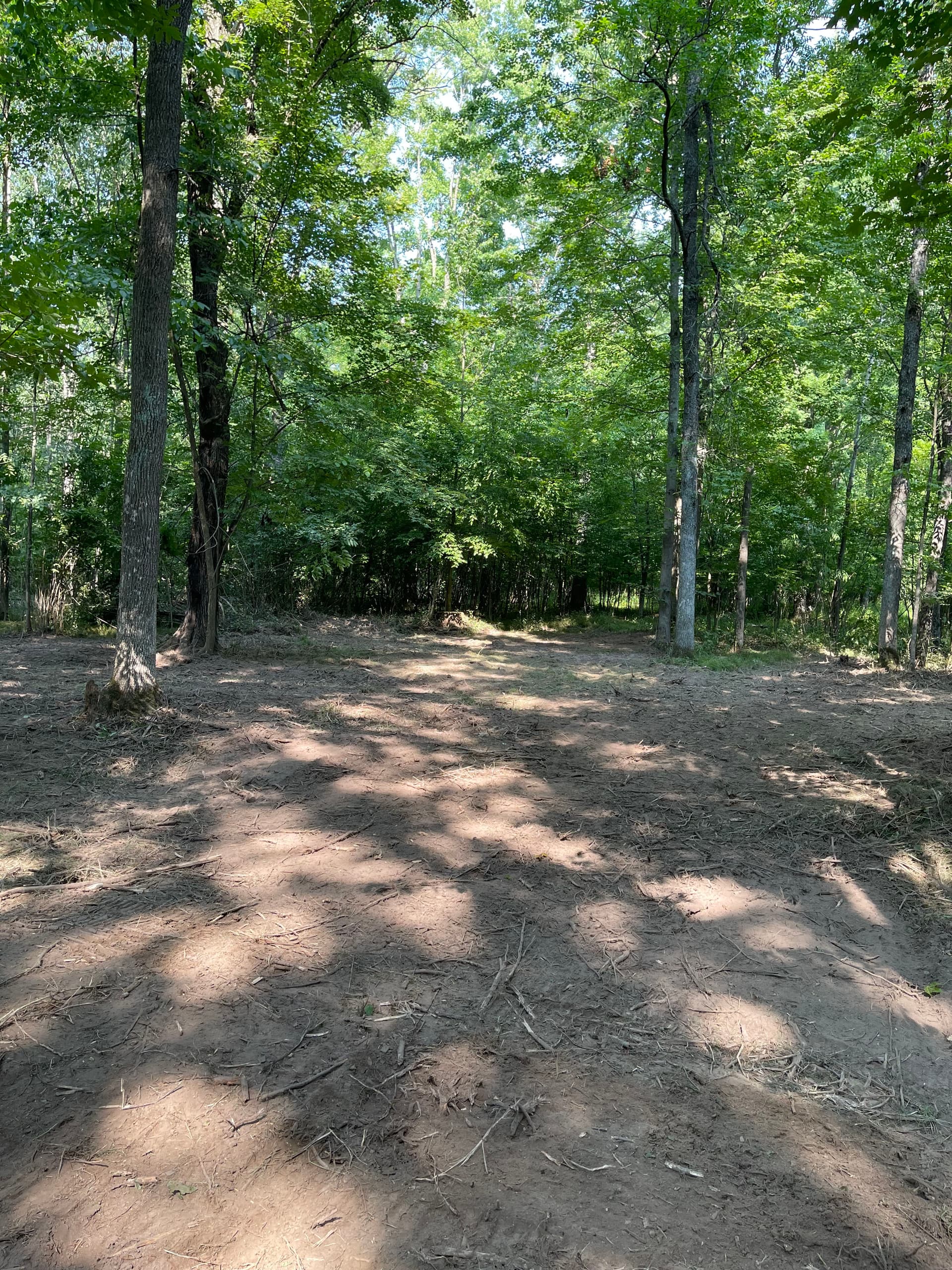 Gallery photos for Forestry Mulching for Hunting Season Prep Near Loyal: Image #8