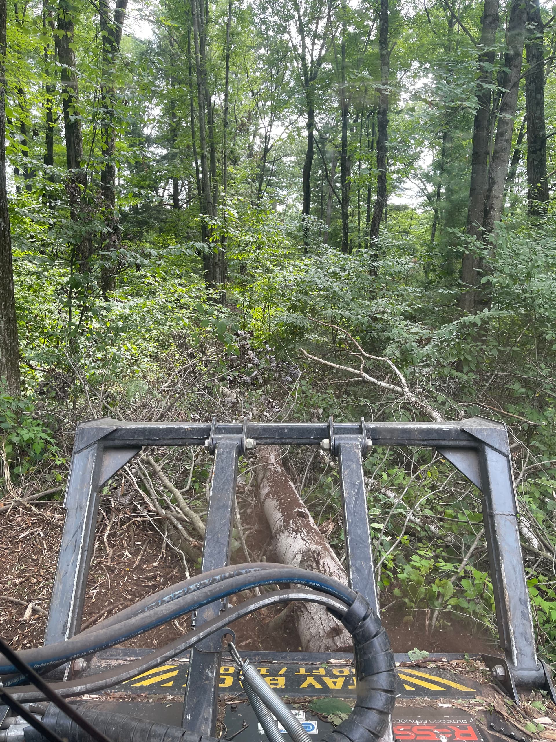 Gallery photos for Forestry Mulching Opens Up Overgrown Front Yard Near Pallen Lake: Image #1