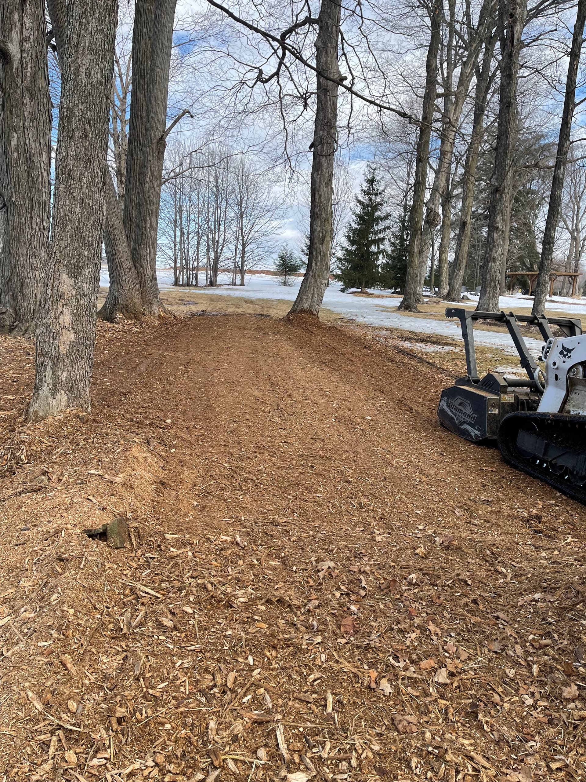 Gallery photos for Creating Open Spaces in Wausau: Image #3