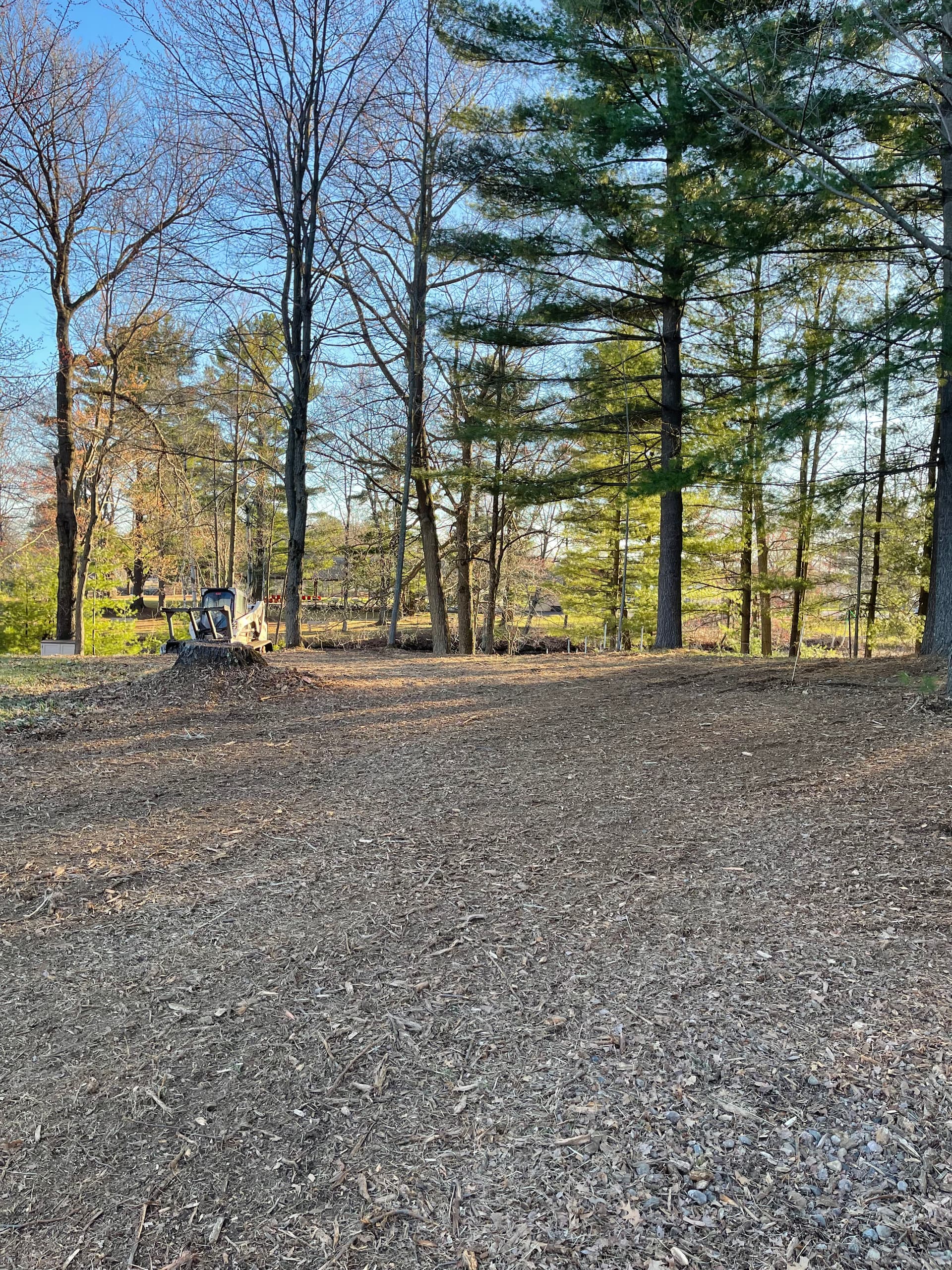Forestry Mulching Brush Clearing on Lake DuBay image