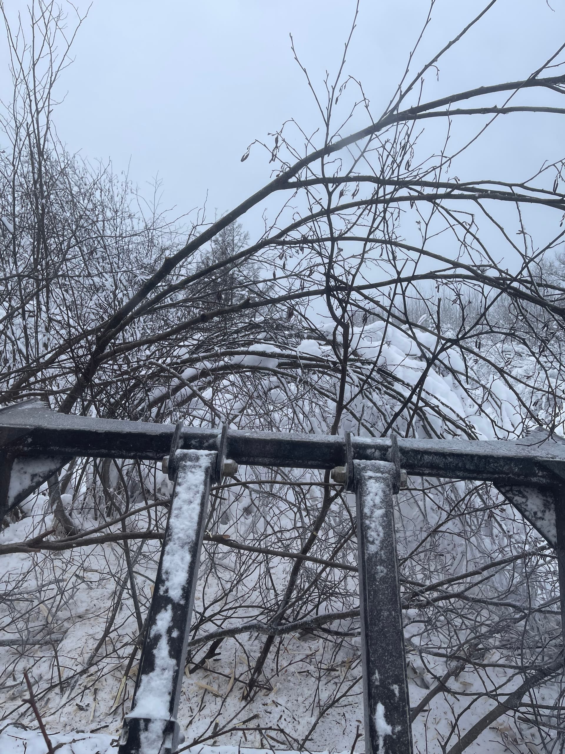 Gallery photos for Snowy Trails Cleared in Gleason: Image #1