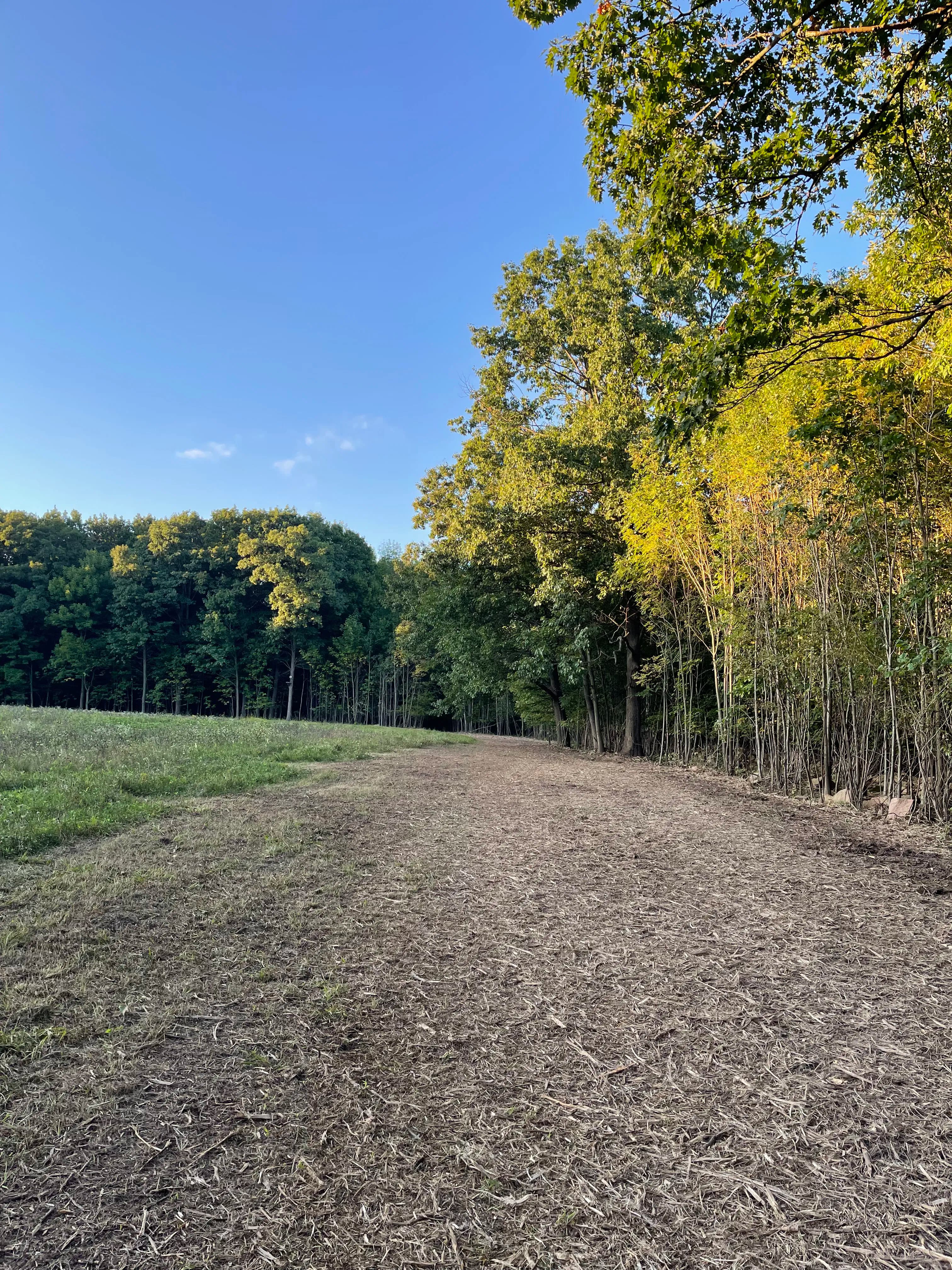 Project Field Expansion with Forestry Mulching in Kronenwetter image