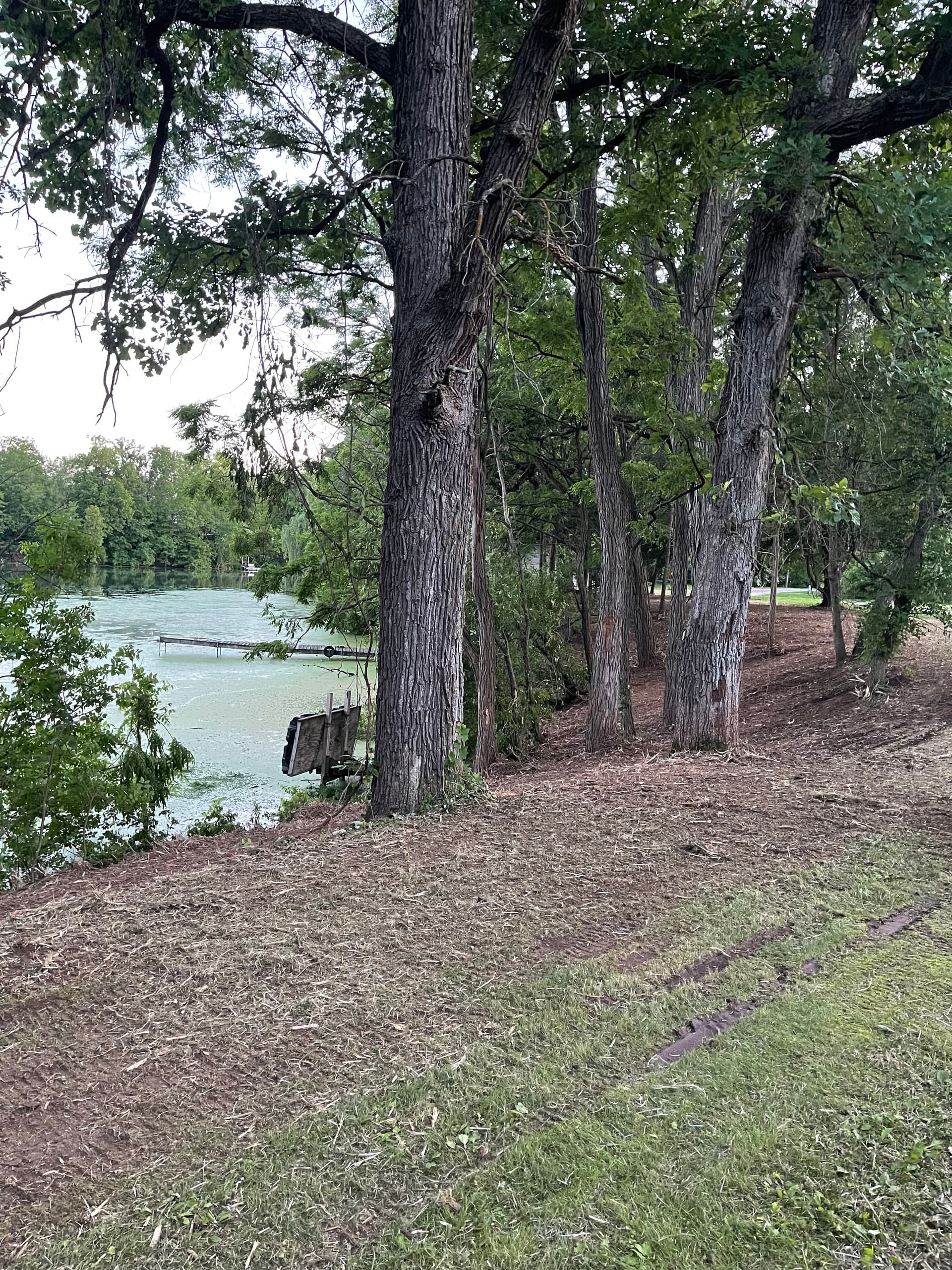 Gallery photos for Forestry Mulching Cleans Up Overgrown Riverfront Property in Mosinee: Image #9