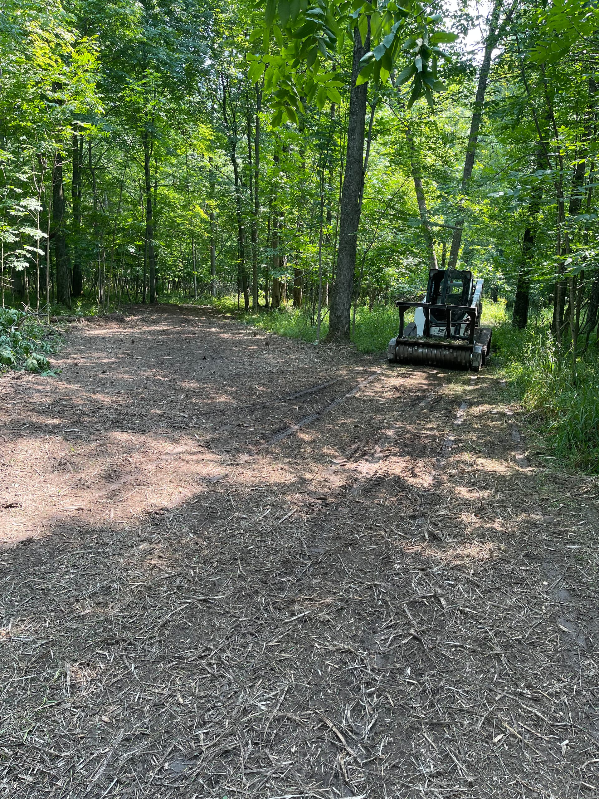 Gallery photos for Forestry Mulching for Hunting Season Prep Near Loyal: Image #2