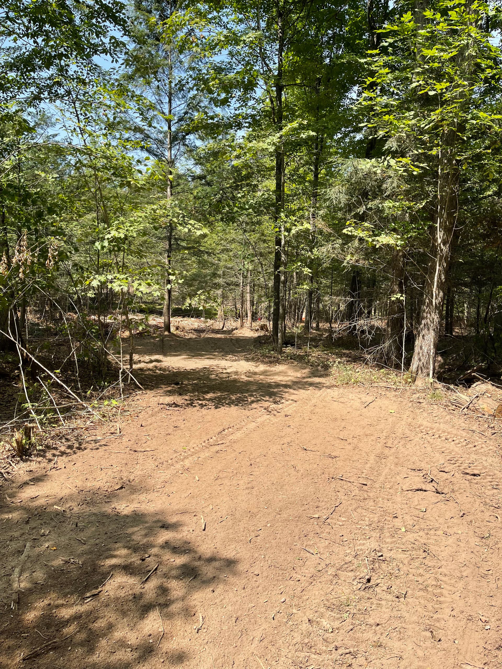 Gallery photos for Post-Logging Trail Cleanup with Forestry Mulching in Athens: Image #1