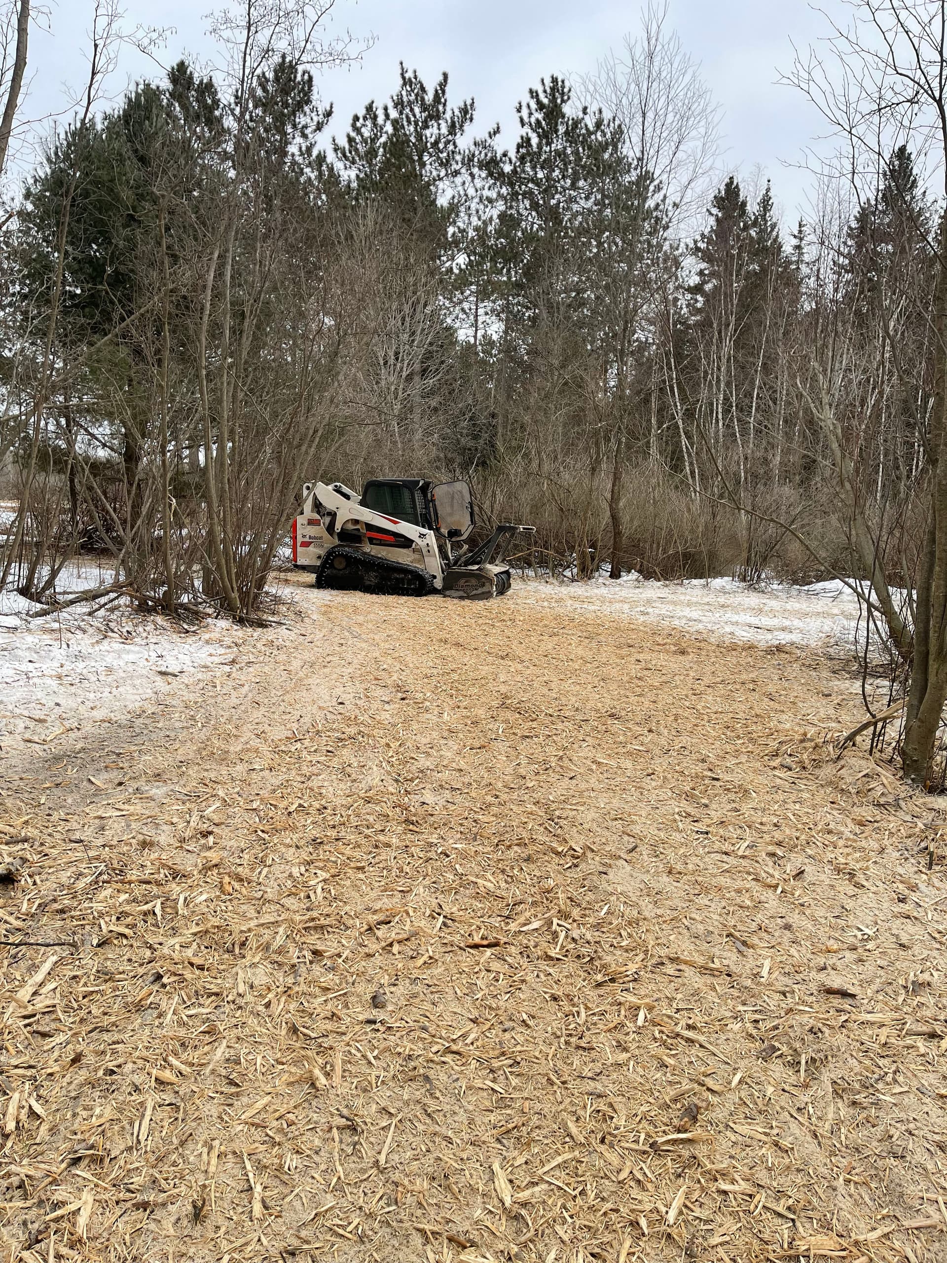 Crafting Clear Paths Through Winter Woodlands image