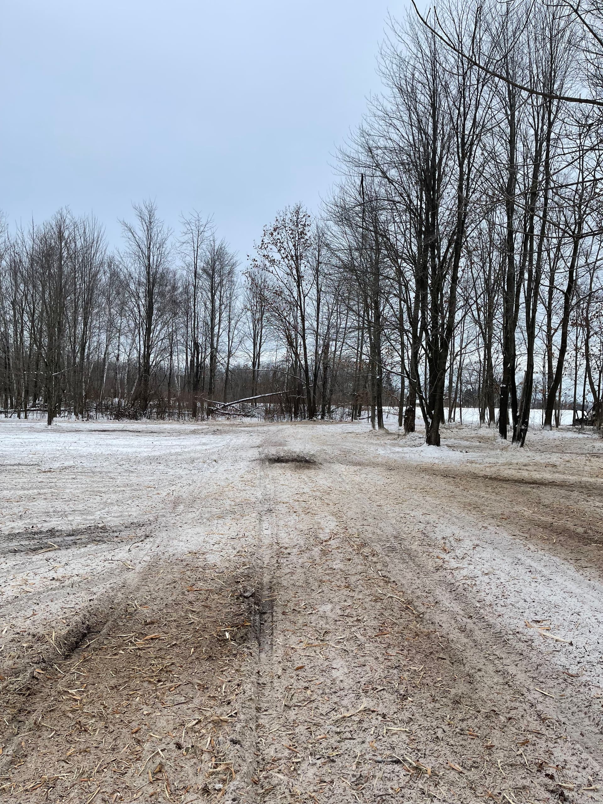 Forestry Mulching in Mosinee Creating Winter Landscapes image