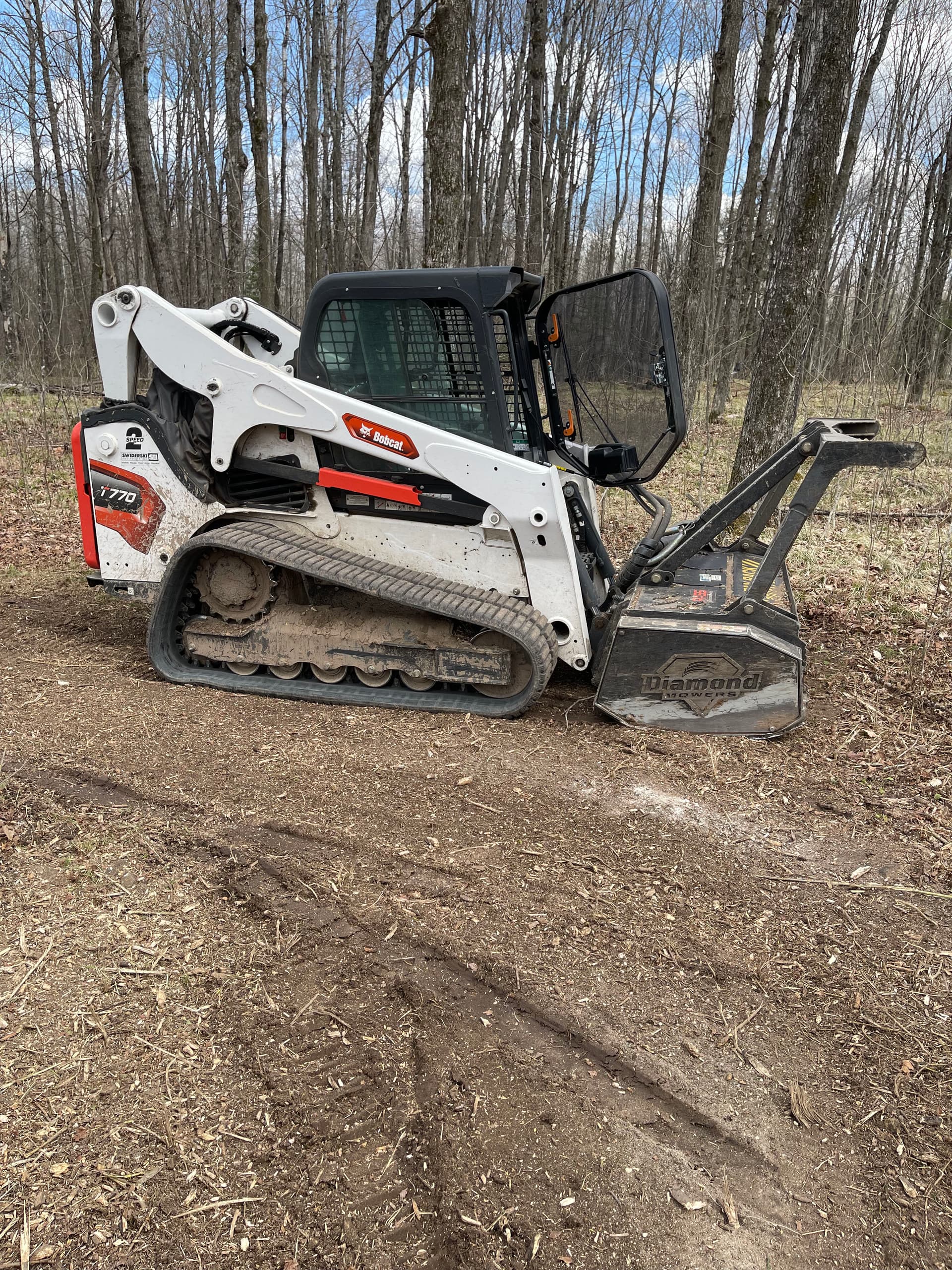 Gallery photos for Forestry Mulching and Trail Clearing Opens Up Merrill Property: Image #2