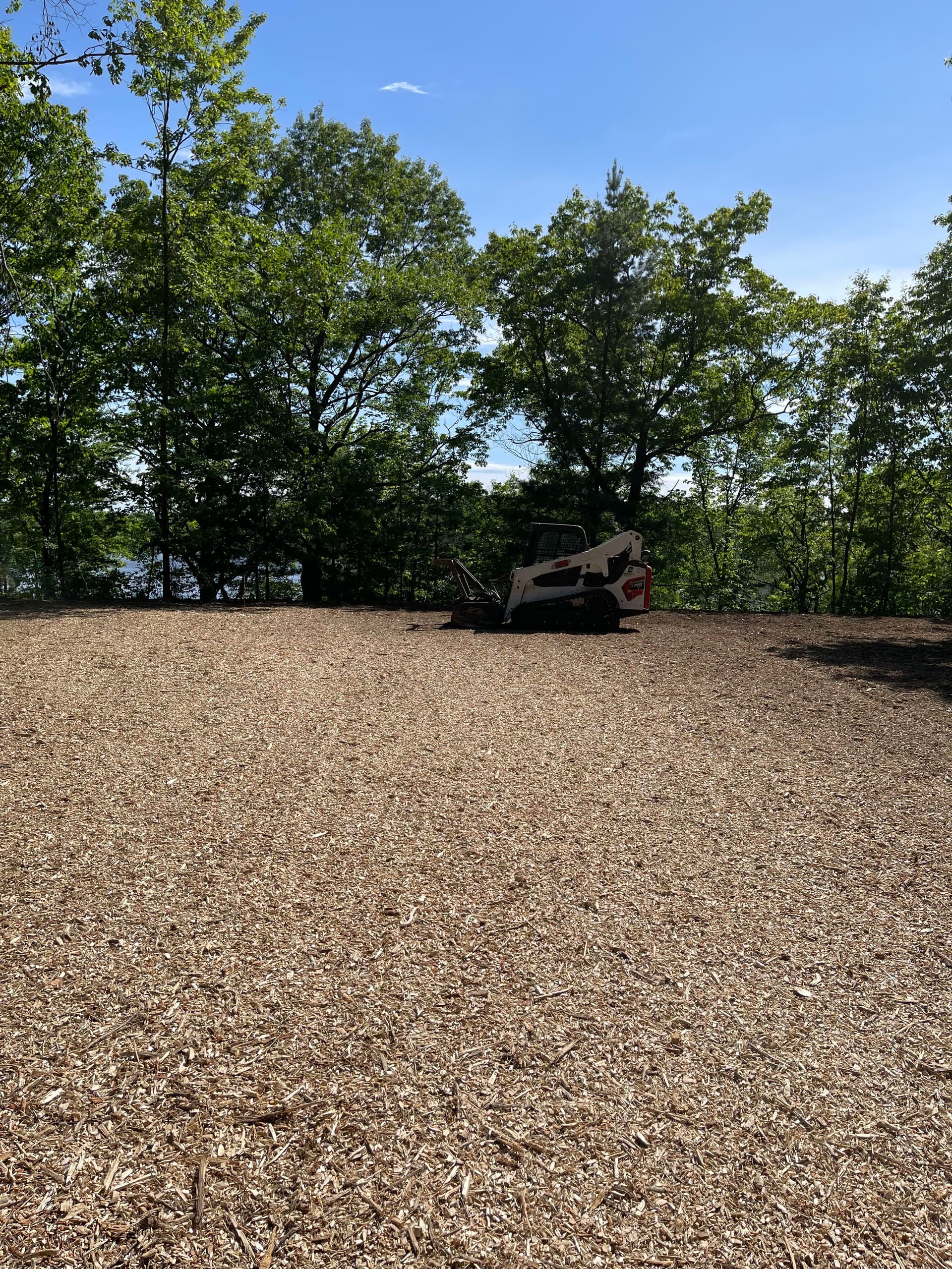 Wooded Lot Cleared for a New Build in Mosinee image