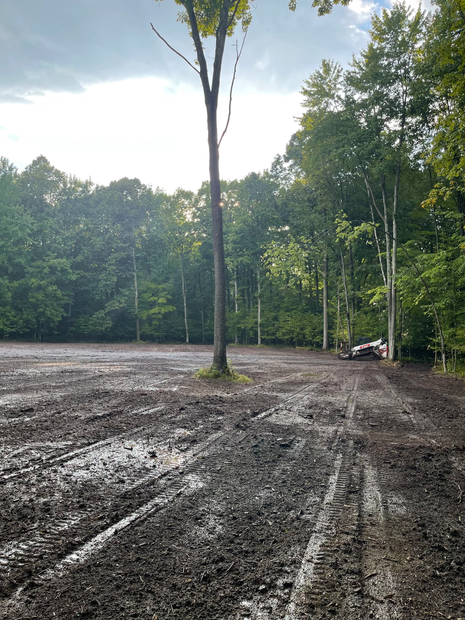 Forestry Mulching a Food Plot in Mosinee image