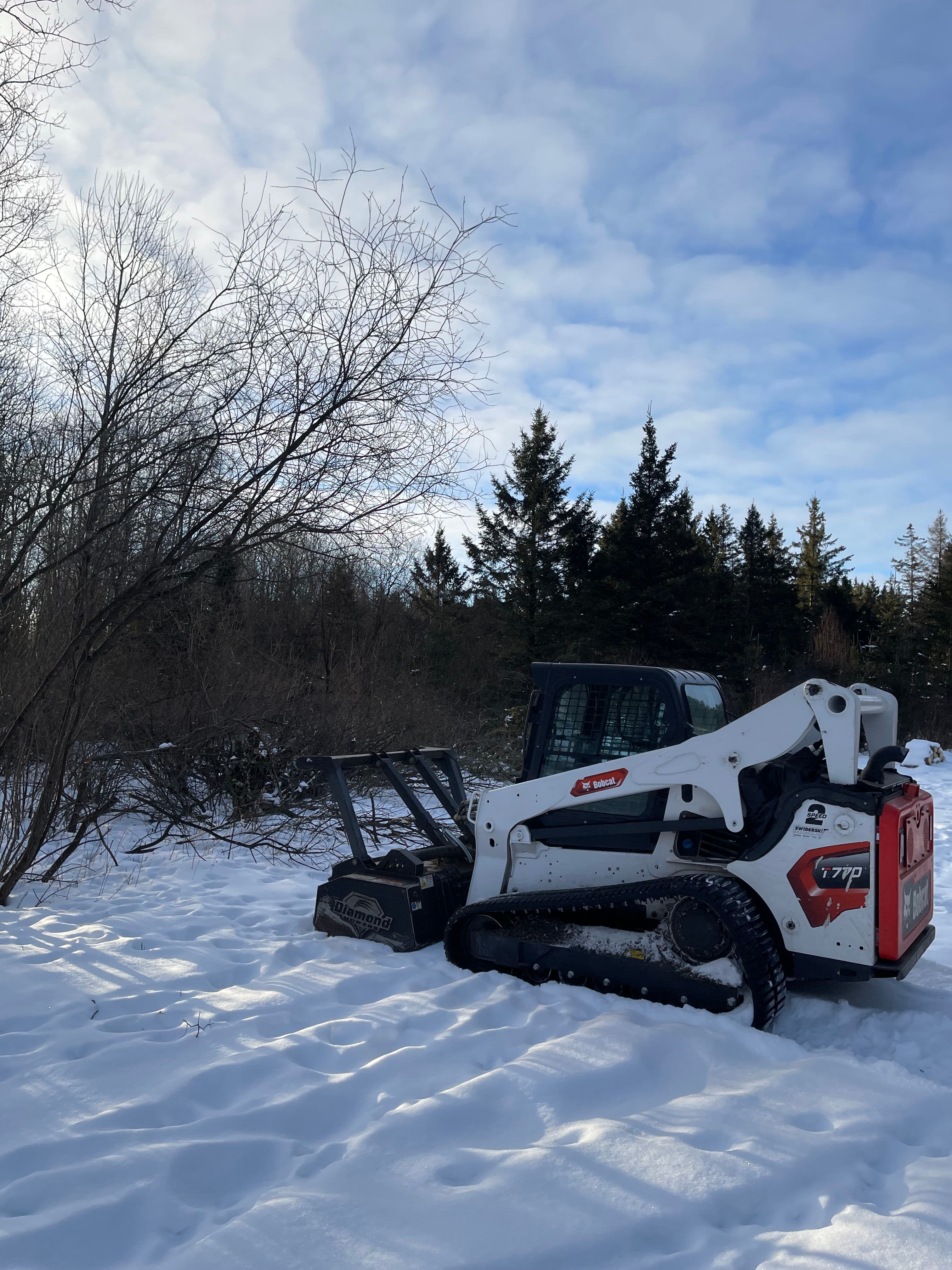 Project Land Clearing Project in Snowy Hewitt Wisconsin image