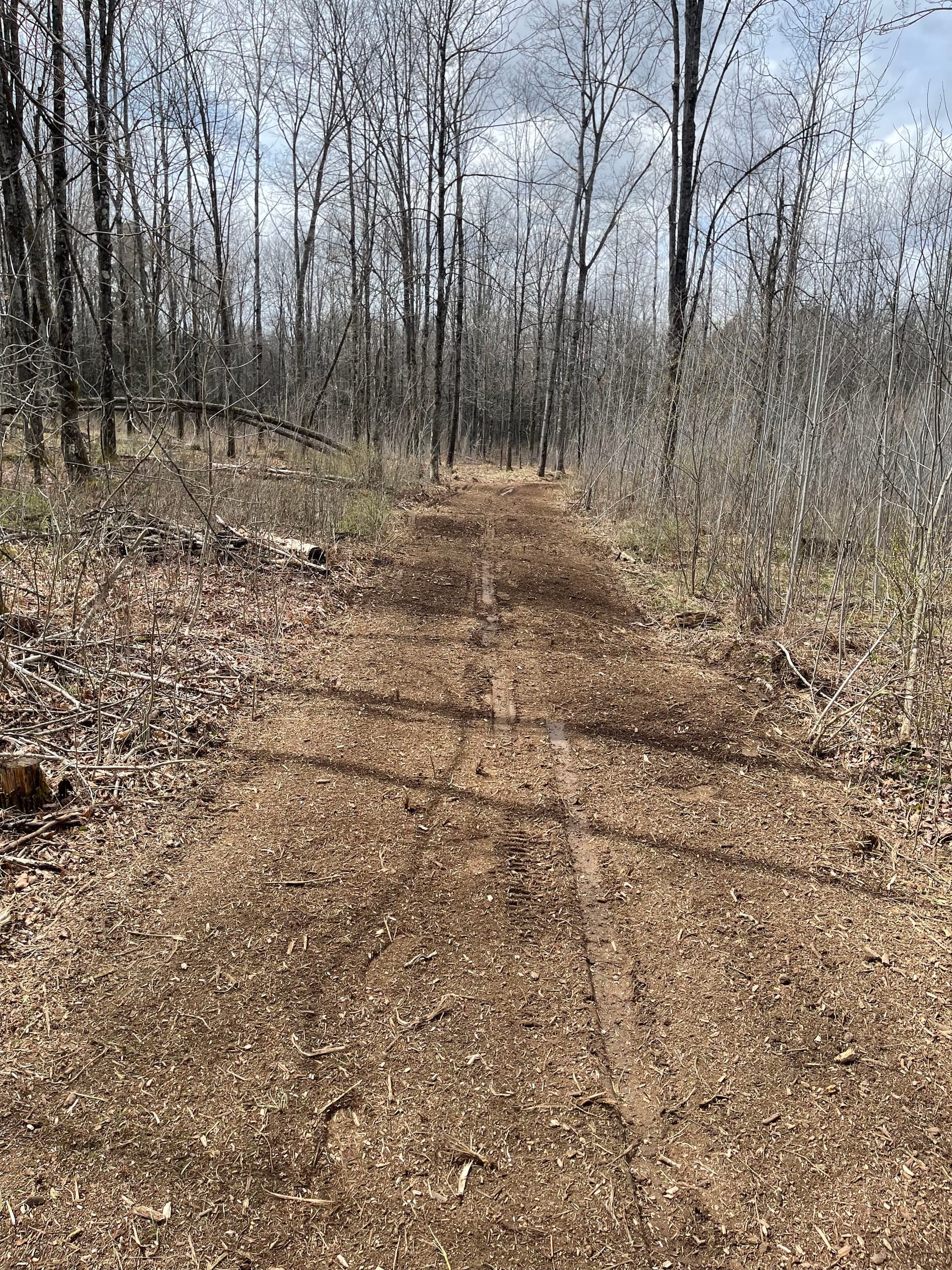 Gallery photos for Forestry Mulching and Trail Clearing Opens Up Merrill Property: Image #5