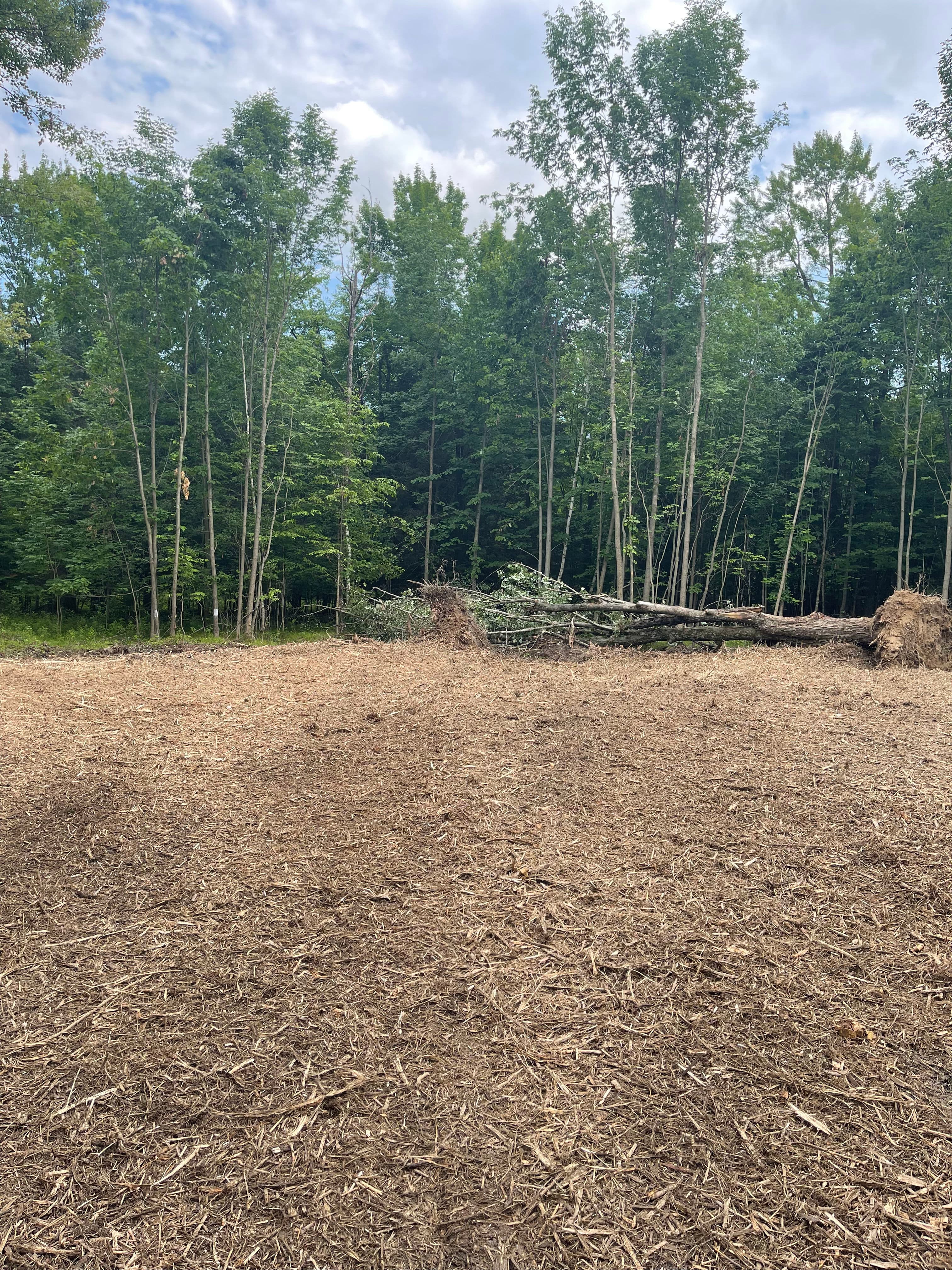 Project Brush Piles Gone - Forestry Mulching in Kronenwetter image