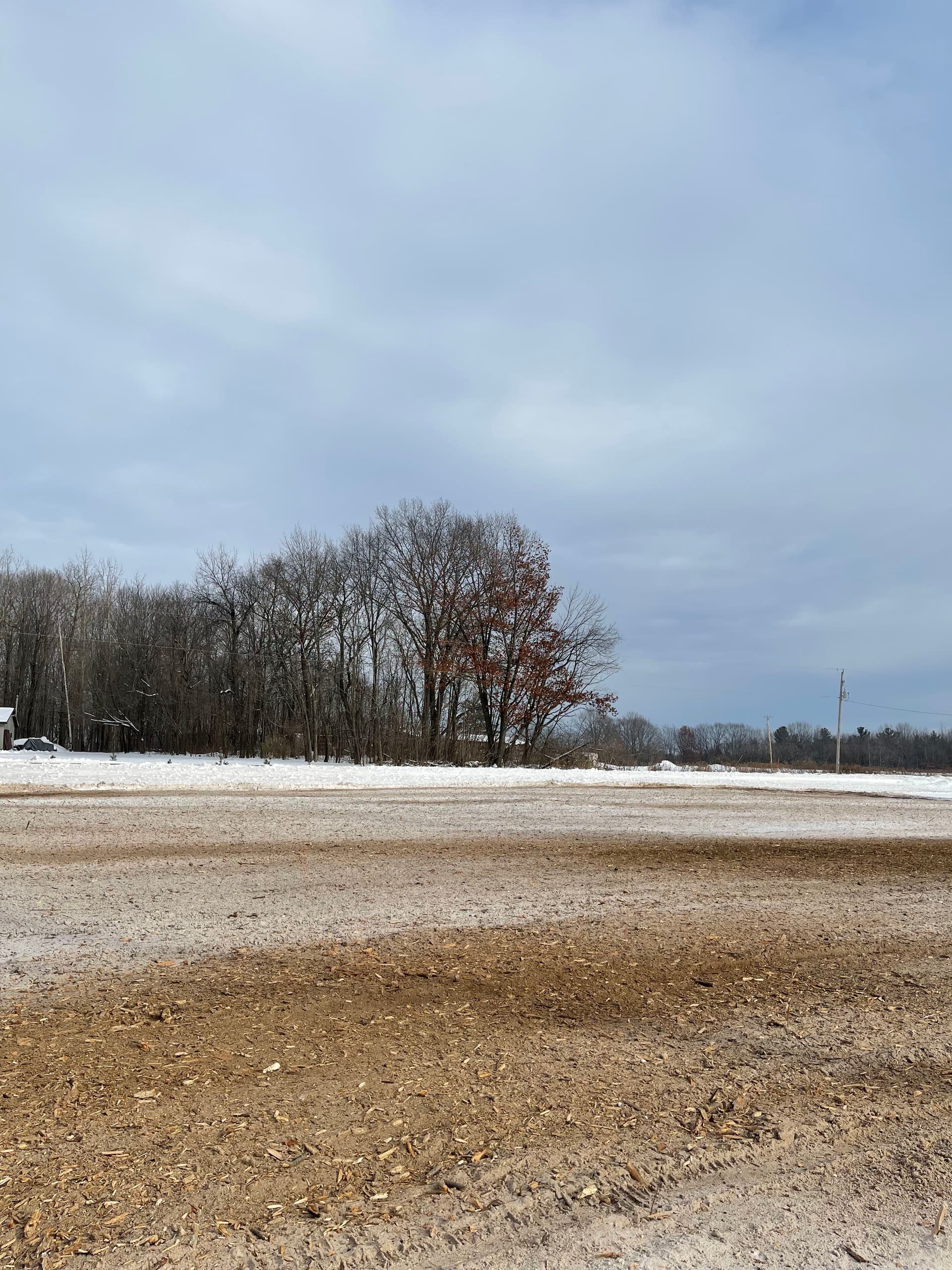 Gallery photos for Forestry Mulching and Land Clearing in Snowy Mosinee: Image #1