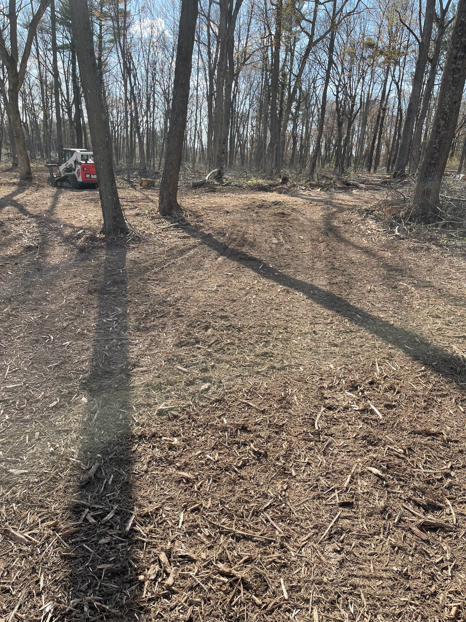 Gallery photos for Forestry Mulching Cleans Up Logging Debris in New Hope: Image #2